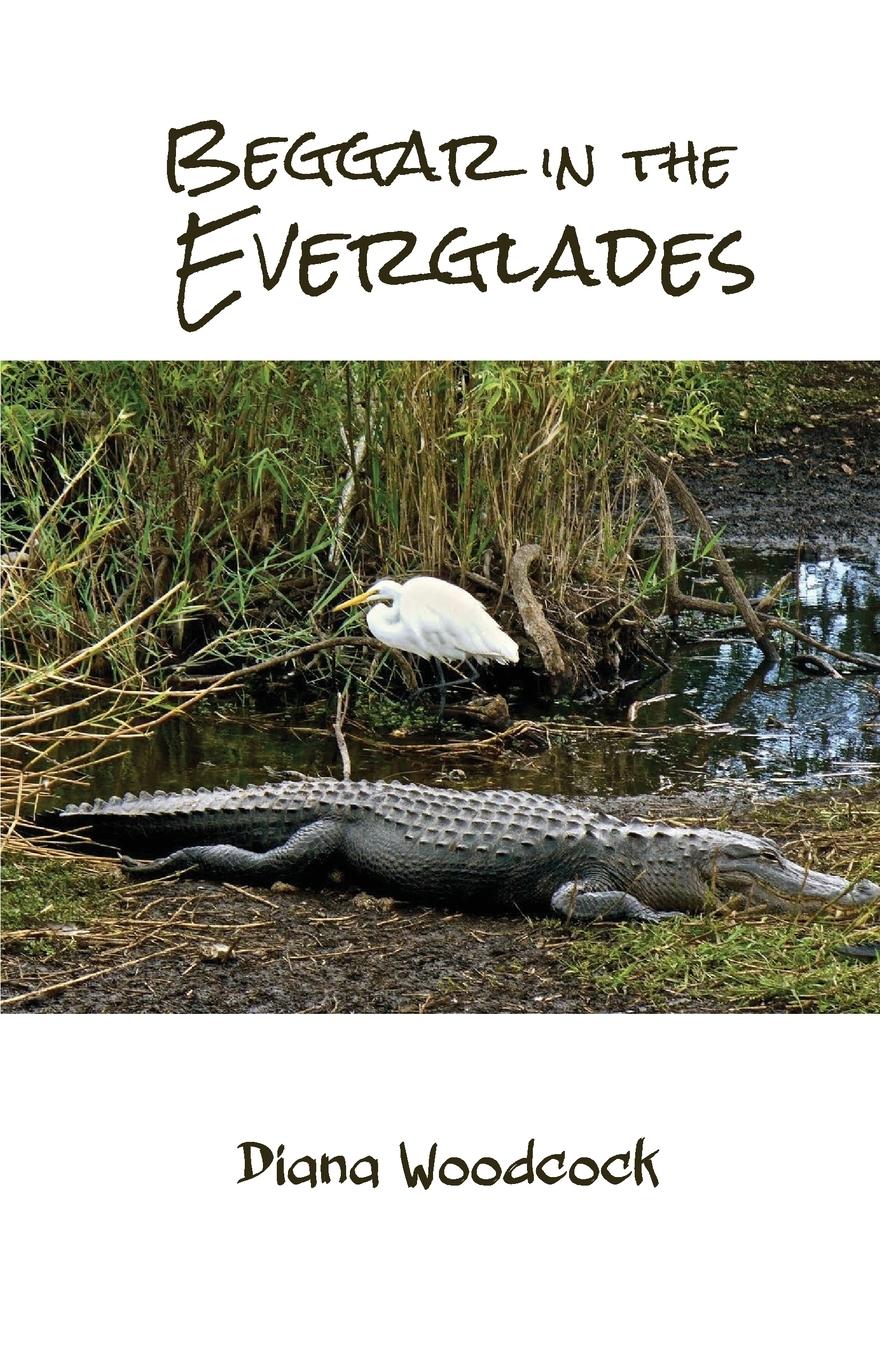 Vorderes Coverbild Beggar in the Everglades