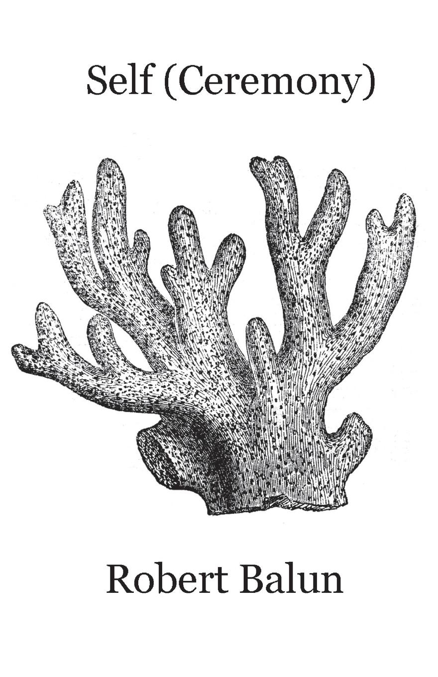 Vorderes Coverbild Self (Ceremony)