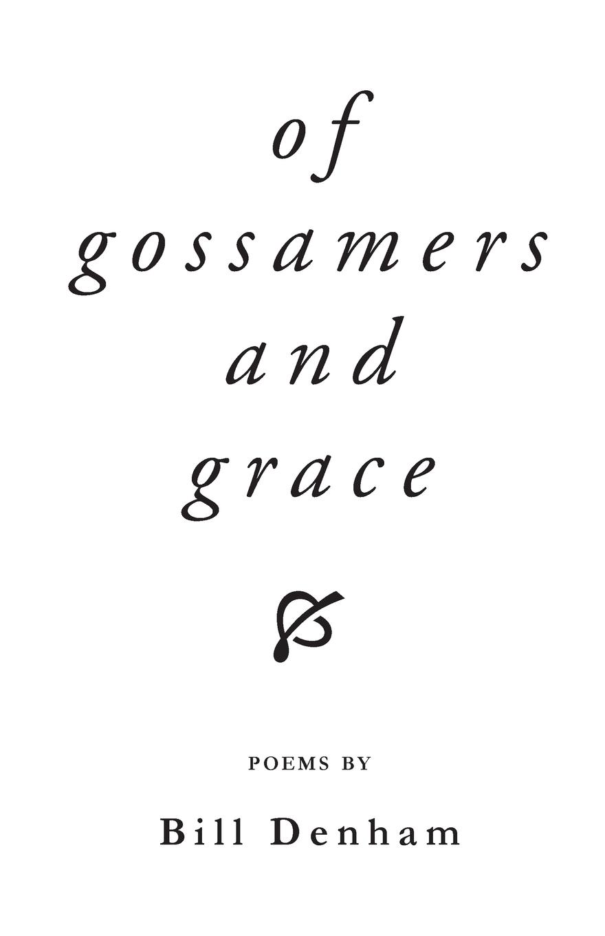 Vorderes Coverbild Of gossamers and grace