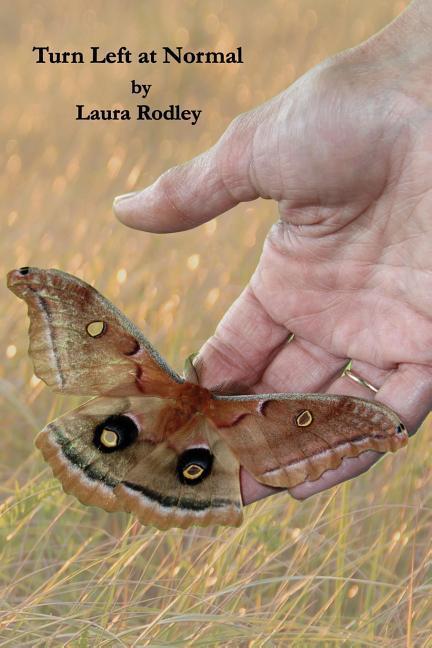 Vorderes Coverbild Turn Left at Normal