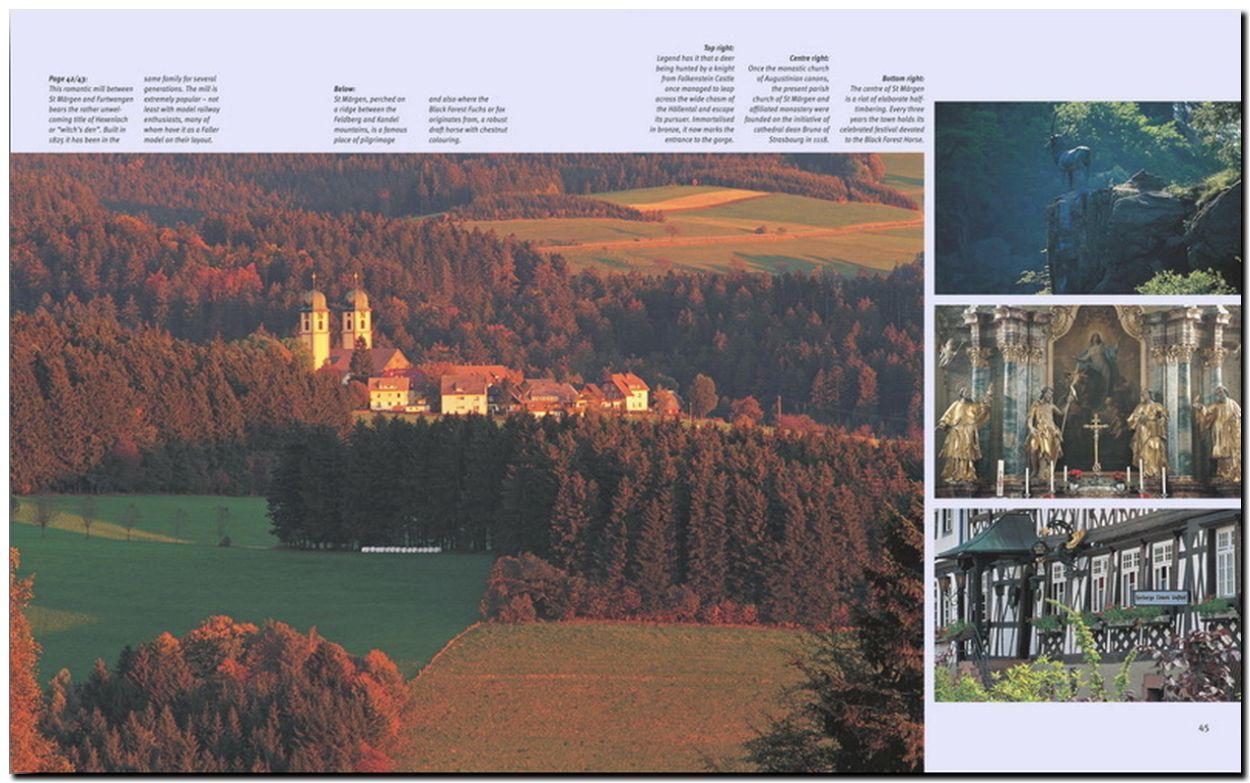 Beispielinhalt (Bild) Journey through the Black Forest