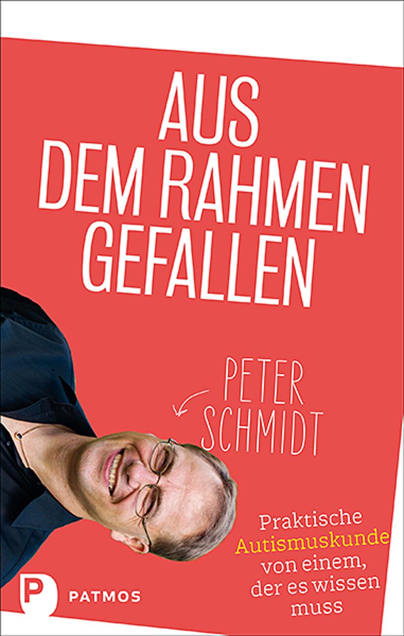 Vorderes Coverbild Aus dem Rahmen gefallen