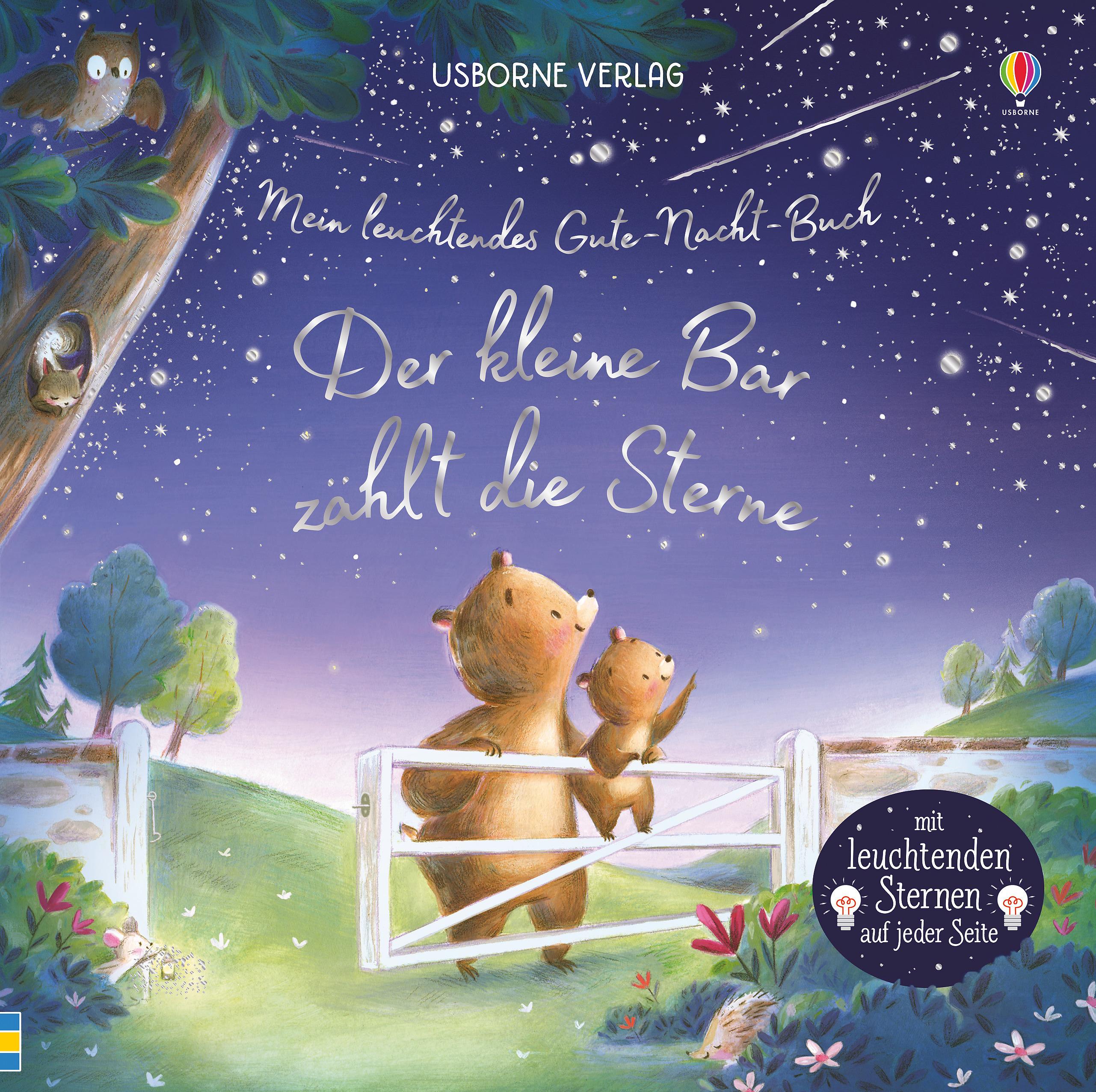 Vorderes Coverbild Mein leuchtendes Gute-Nacht-Buch: Der kleine Bär zählt die Sterne