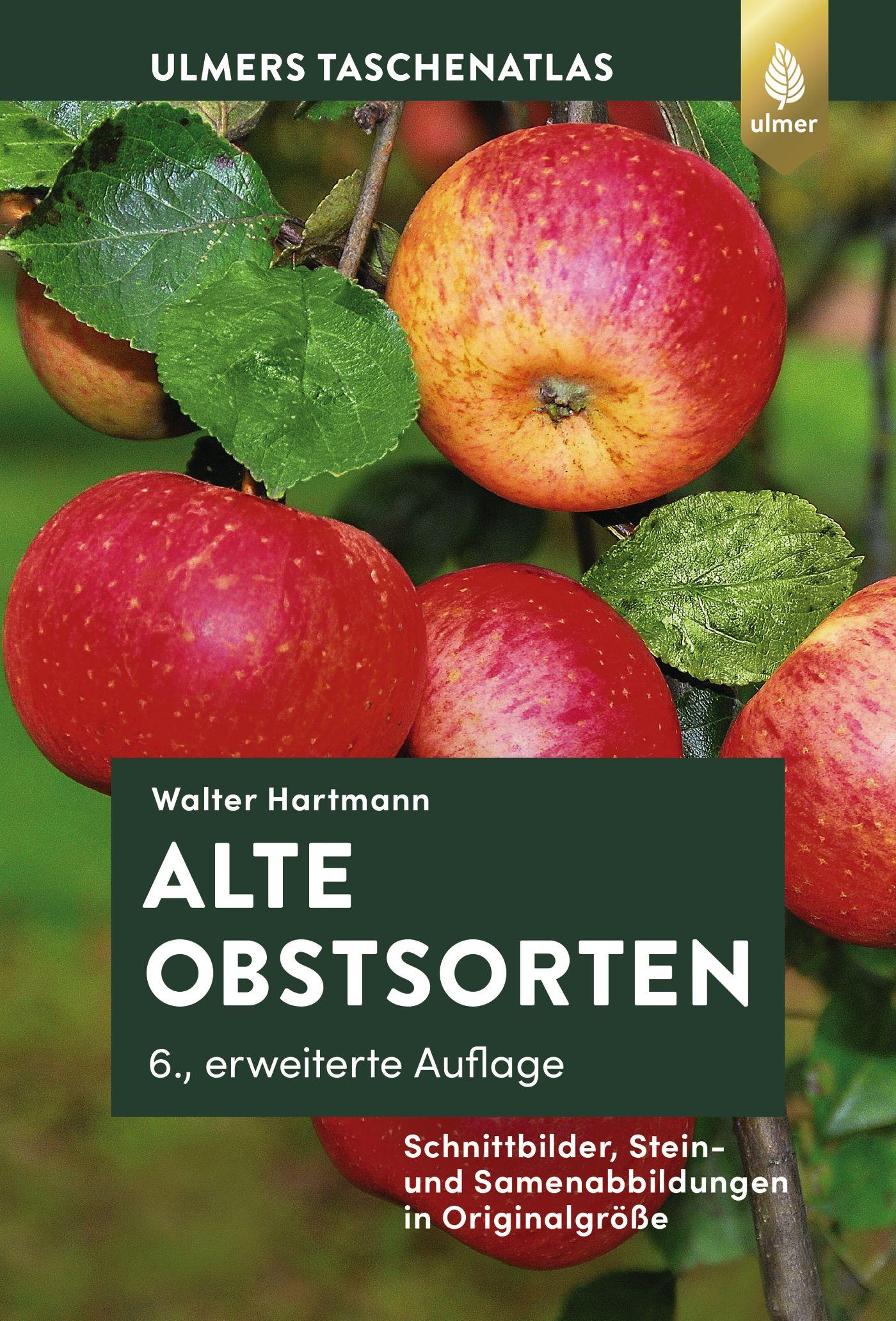 Vorderes Coverbild Alte Obstsorten