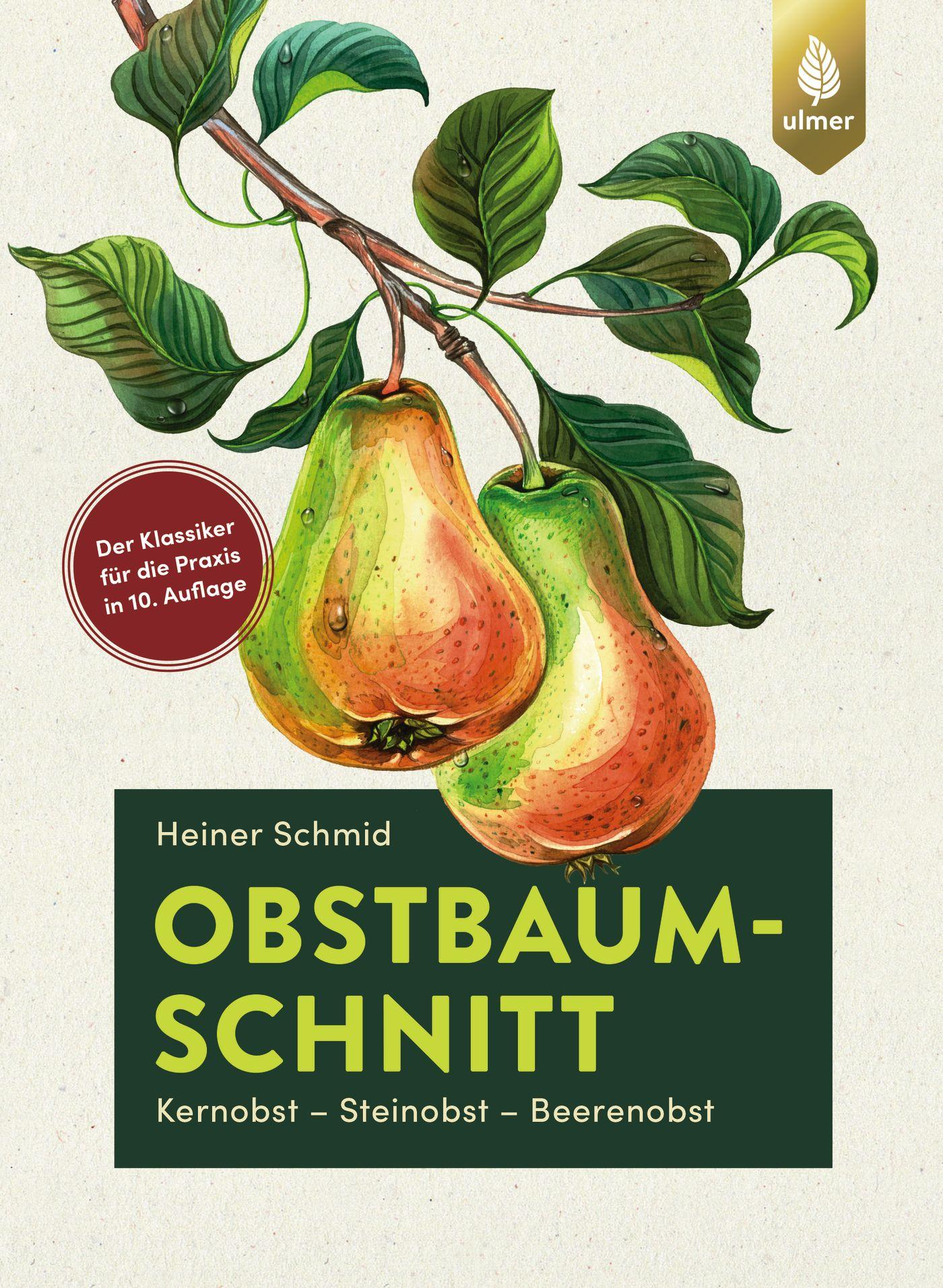 Vorderes Coverbild Obstbaumschnitt