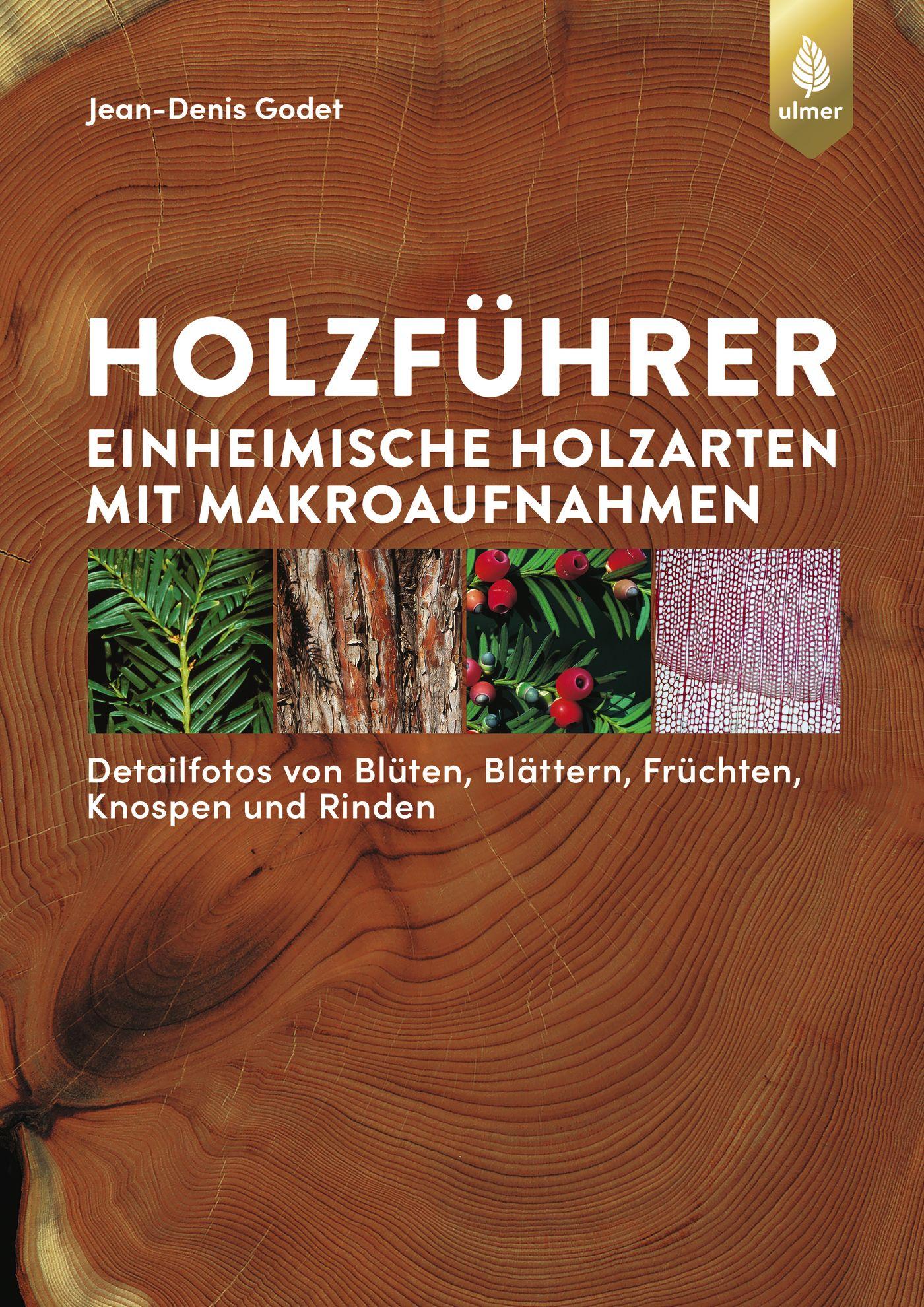 Vorderes Coverbild Holzführer