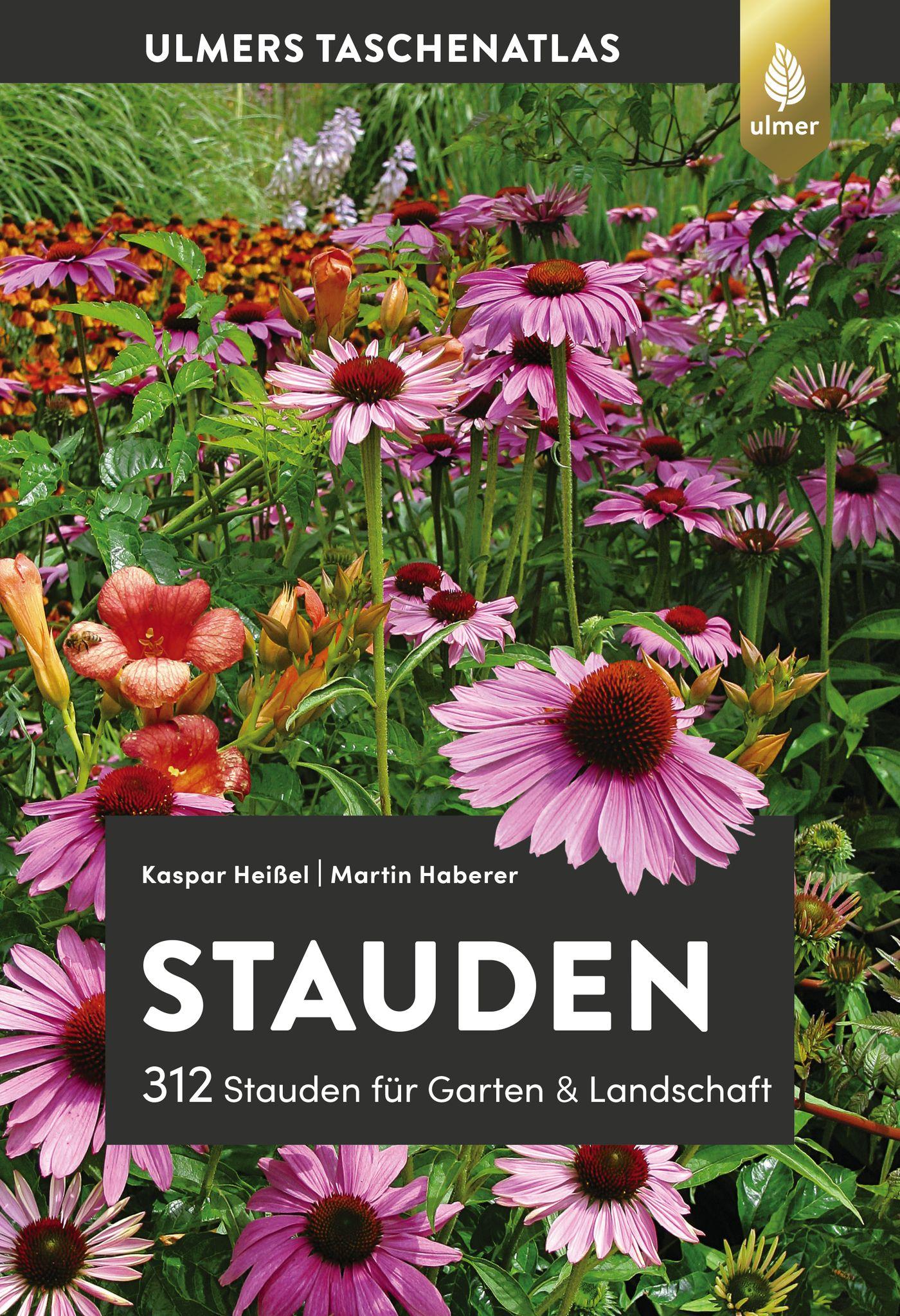 Vorderes Coverbild Stauden