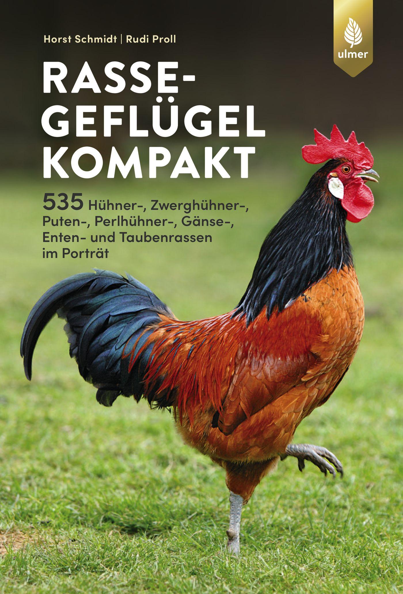 Vorderes Coverbild Rassegeflügel kompakt
