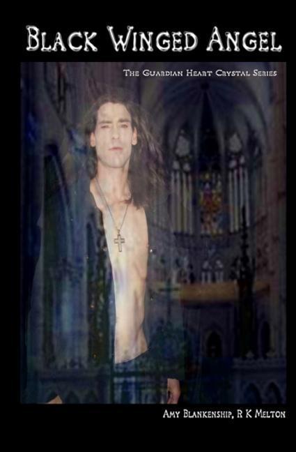 Vorderes Coverbild Black Winged Angel: The Guardian Heart Crystal Book 7