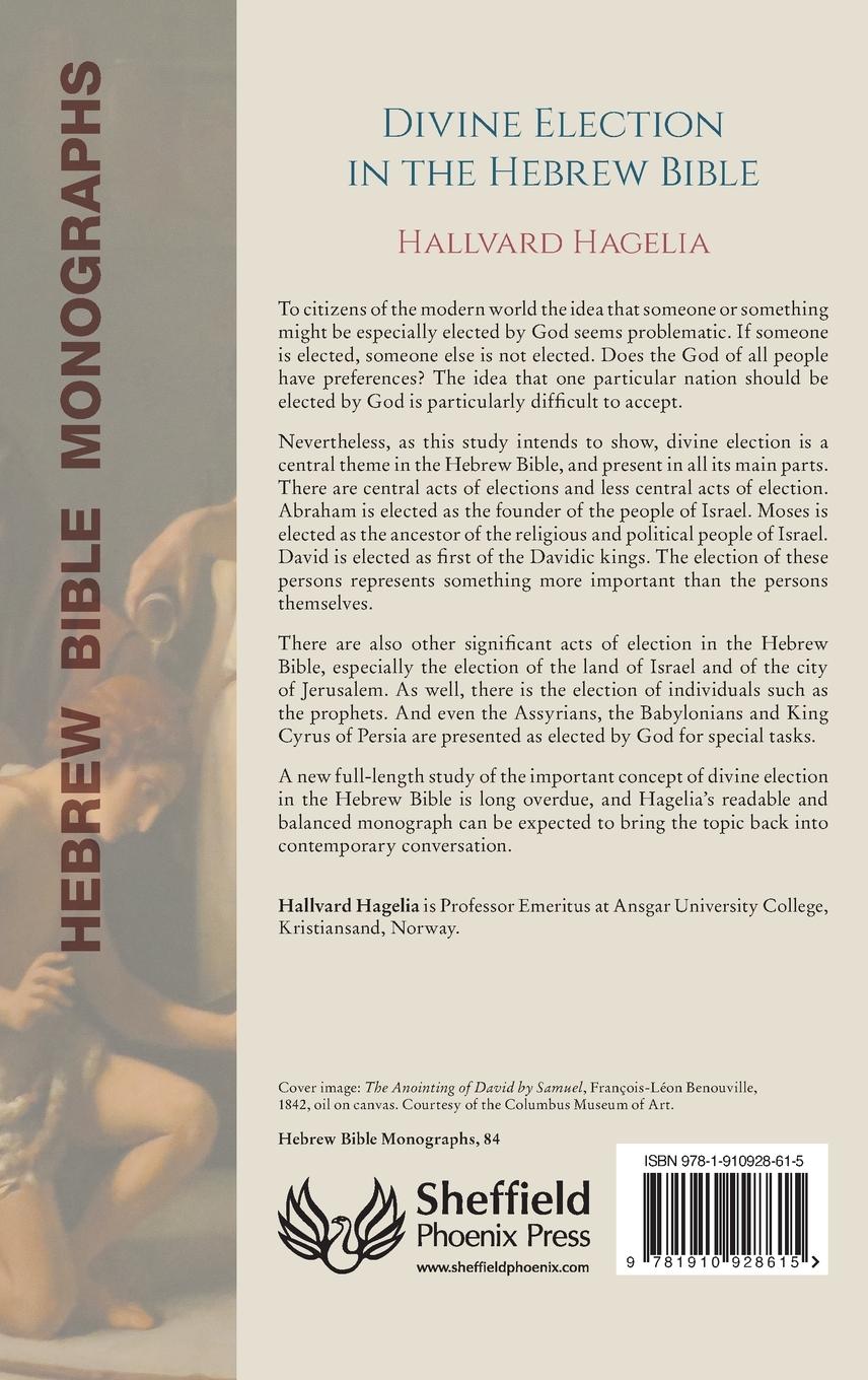 Rückseitencover Divine Election in the Hebrew Bible