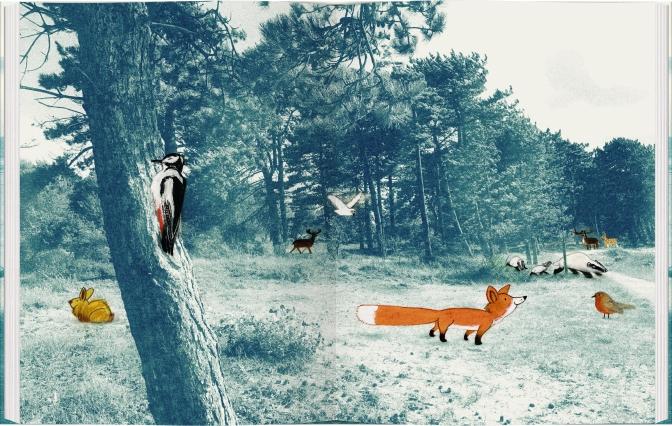 Beispielinhalt (Bild) Der kleine Fuchs