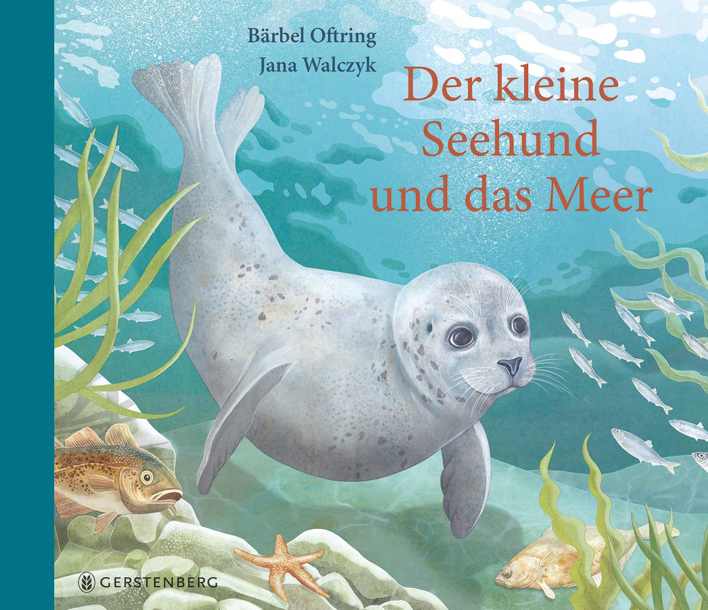 Vorderes Coverbild Der kleine Seehund und das Meer