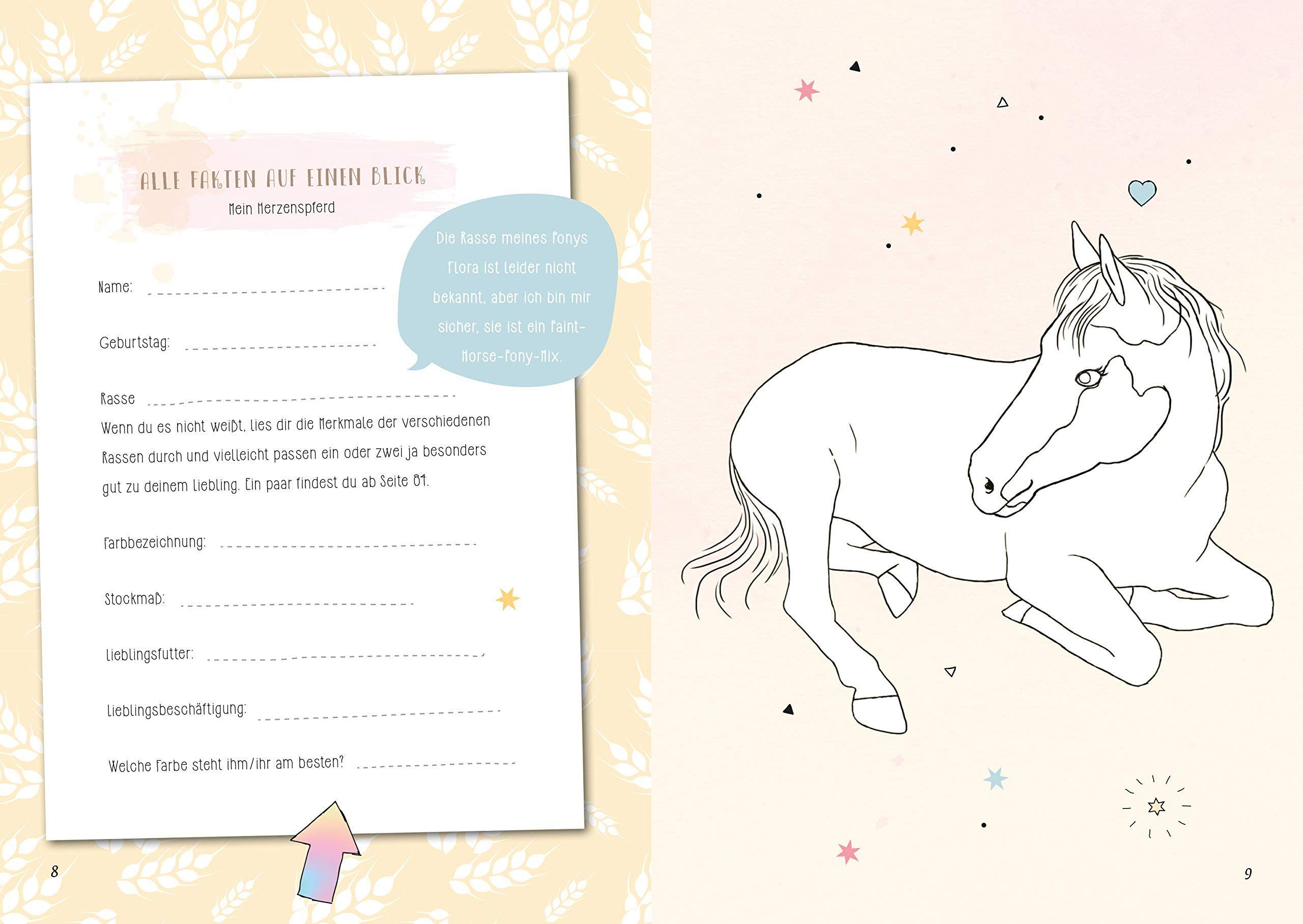 Beispielinhalt (Bild) Spring in eine Pfütze! Mein Herzenspferd