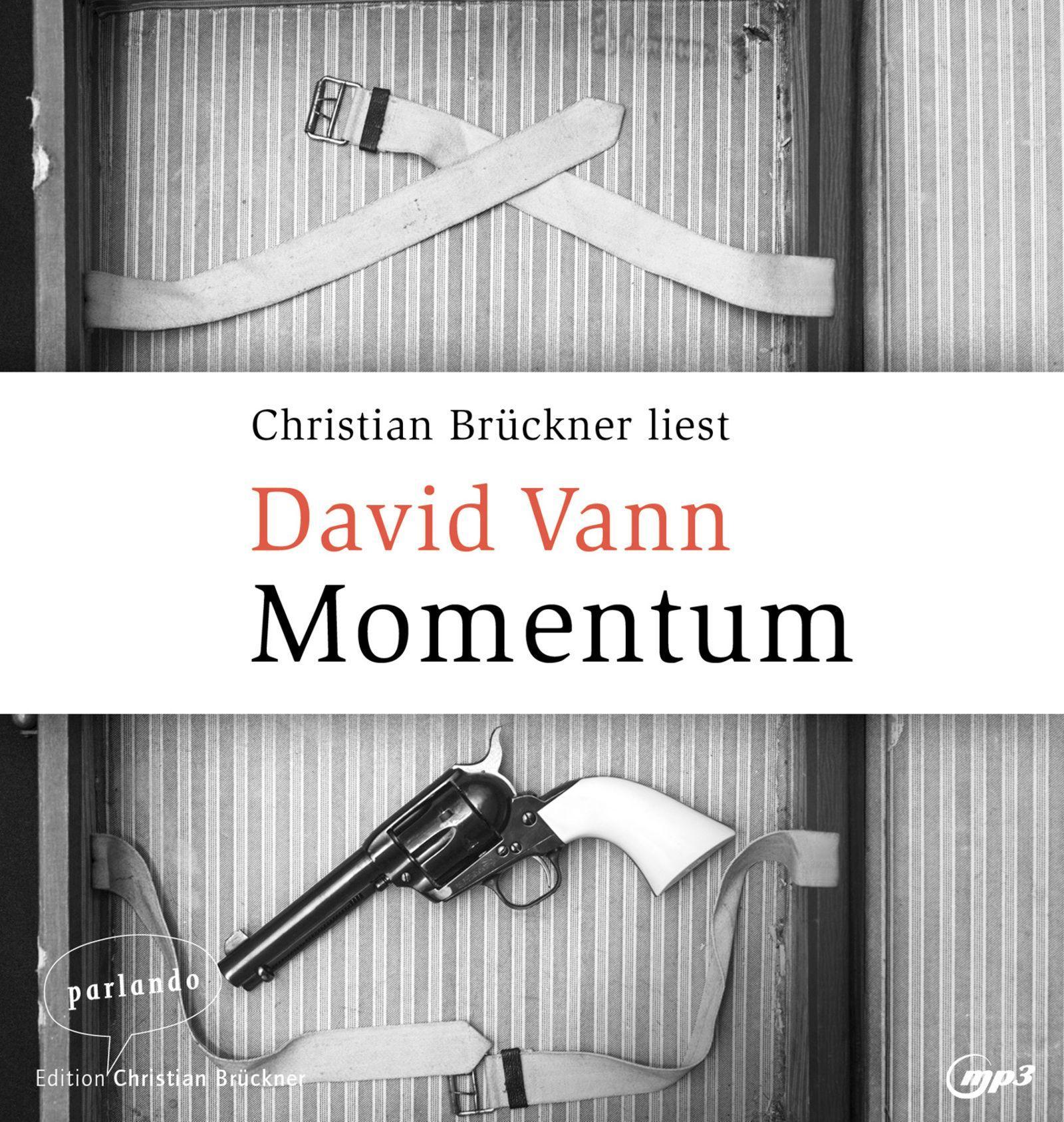Vorderes Coverbild Vann, D: Momentum