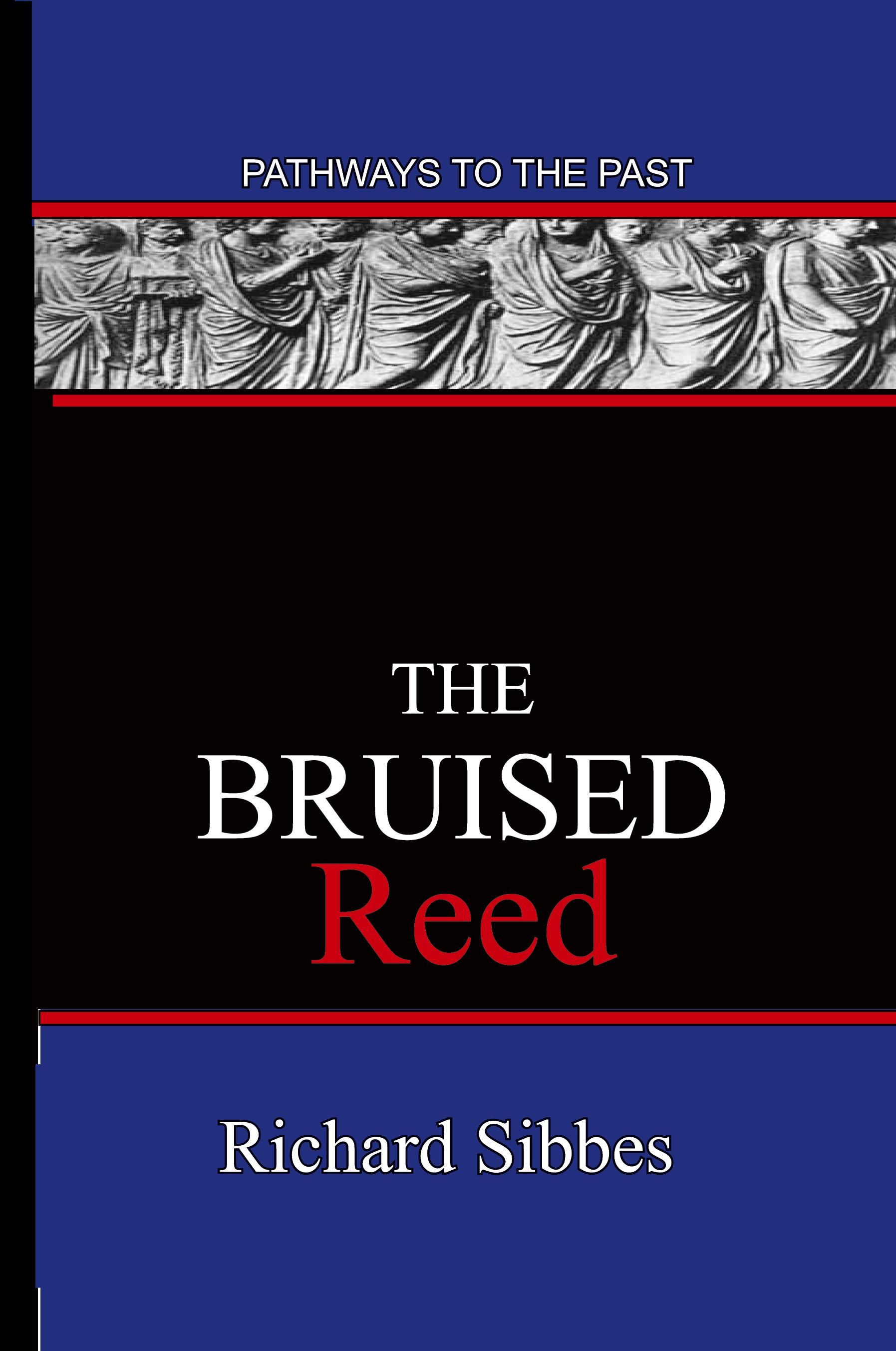 Vorderes Coverbild The Bruised Reed