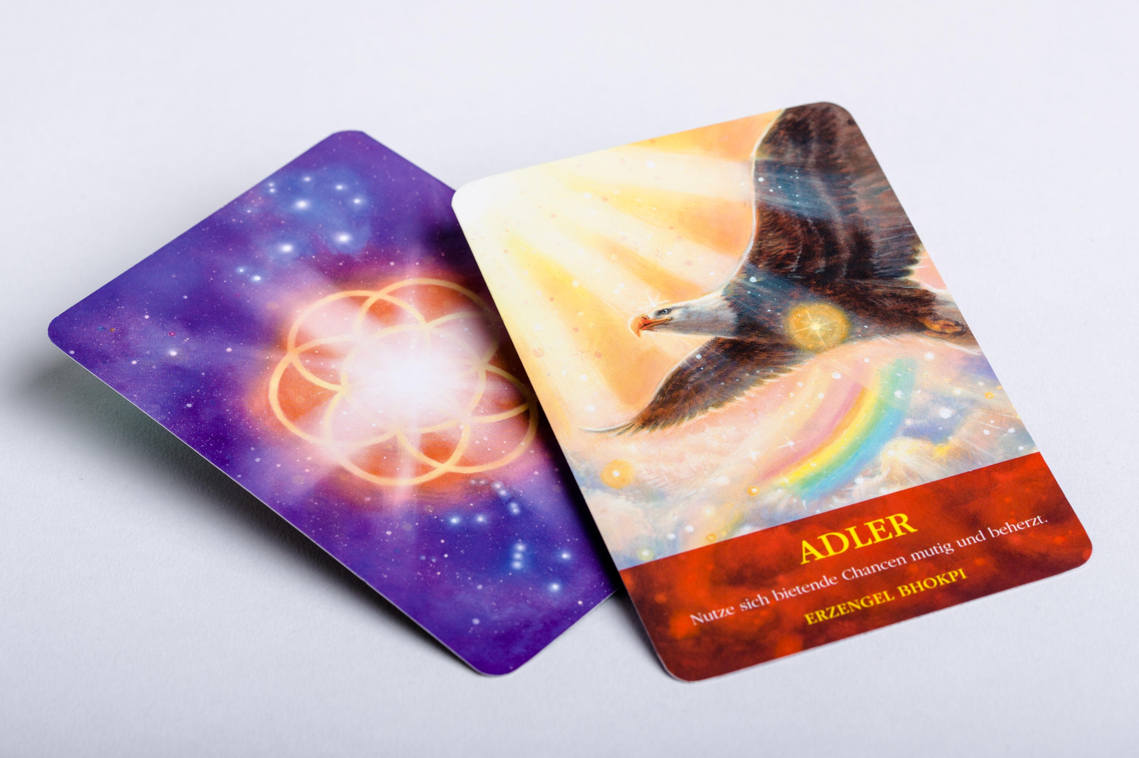 Beispielinhalt (Bild) Das Engel-Tier-Orakel - Botschaften des Himmels