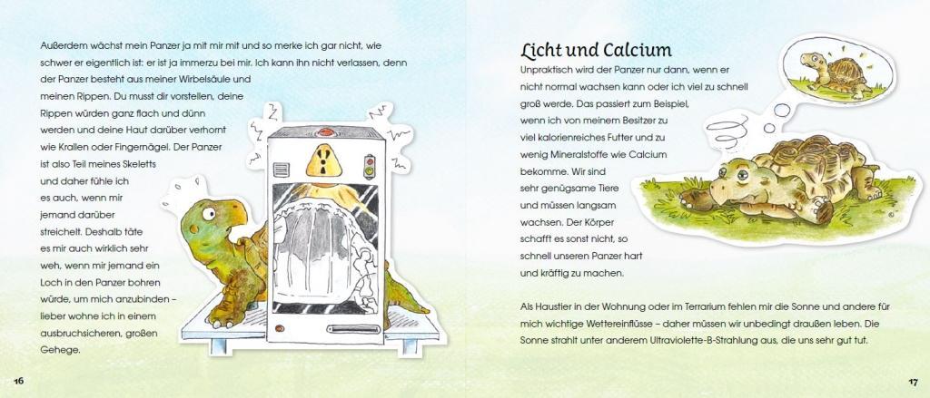 Beispielinhalt (Bild) Griechische Landschildkröten