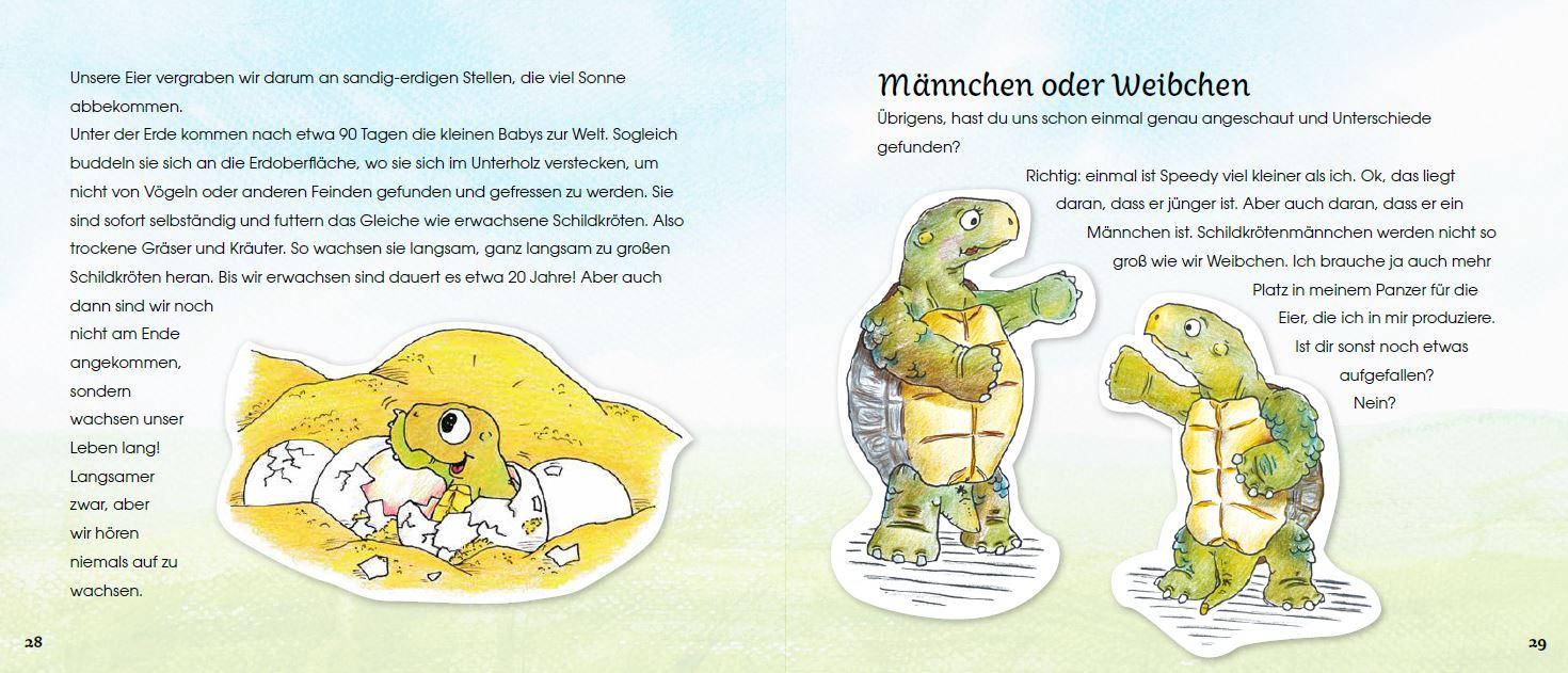 Beispielinhalt (Bild) Griechische Landschildkröten