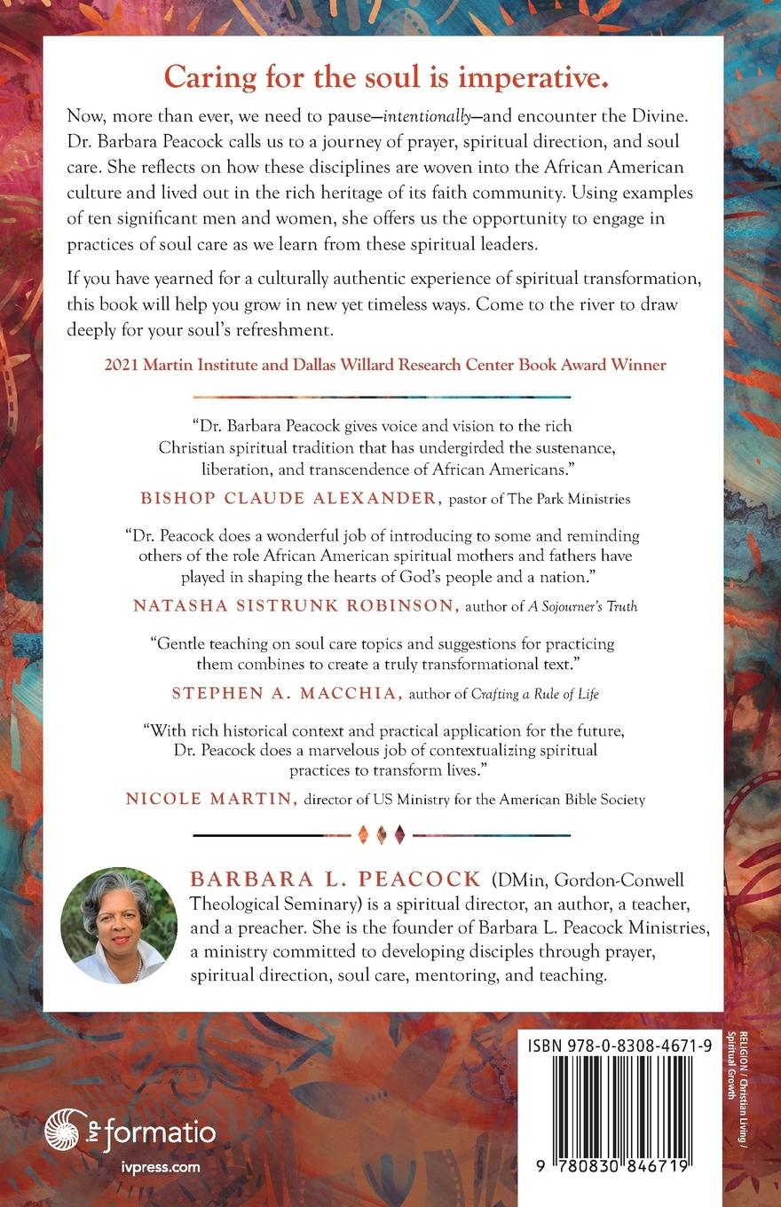 Rückseitencover Soul Care in African American Practice