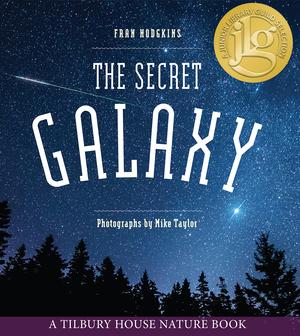 Vorderes Coverbild The Secret Galaxy
