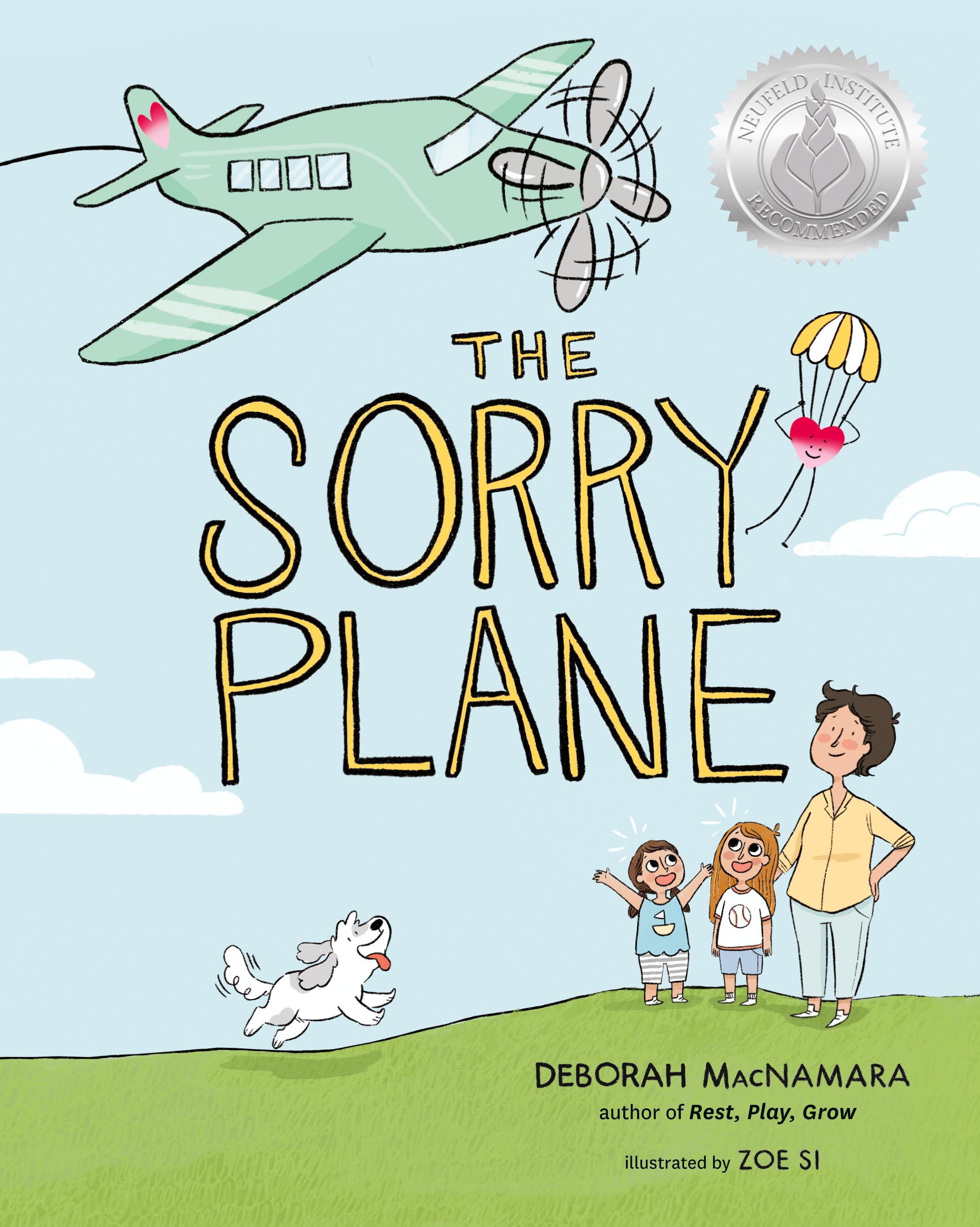 Vorderes Coverbild The Sorry Plane