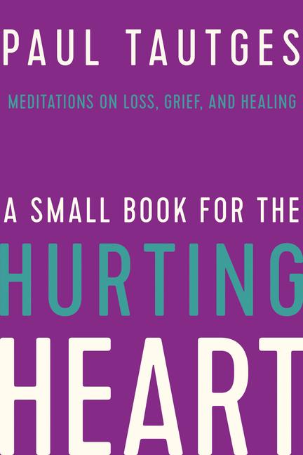 Vorderes Coverbild A Small Book for the Hurting Heart