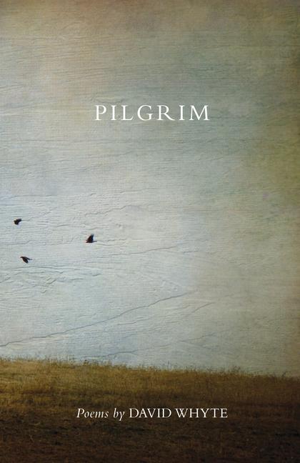 Vorderes Coverbild Pilgrim (Revised) (Revised)