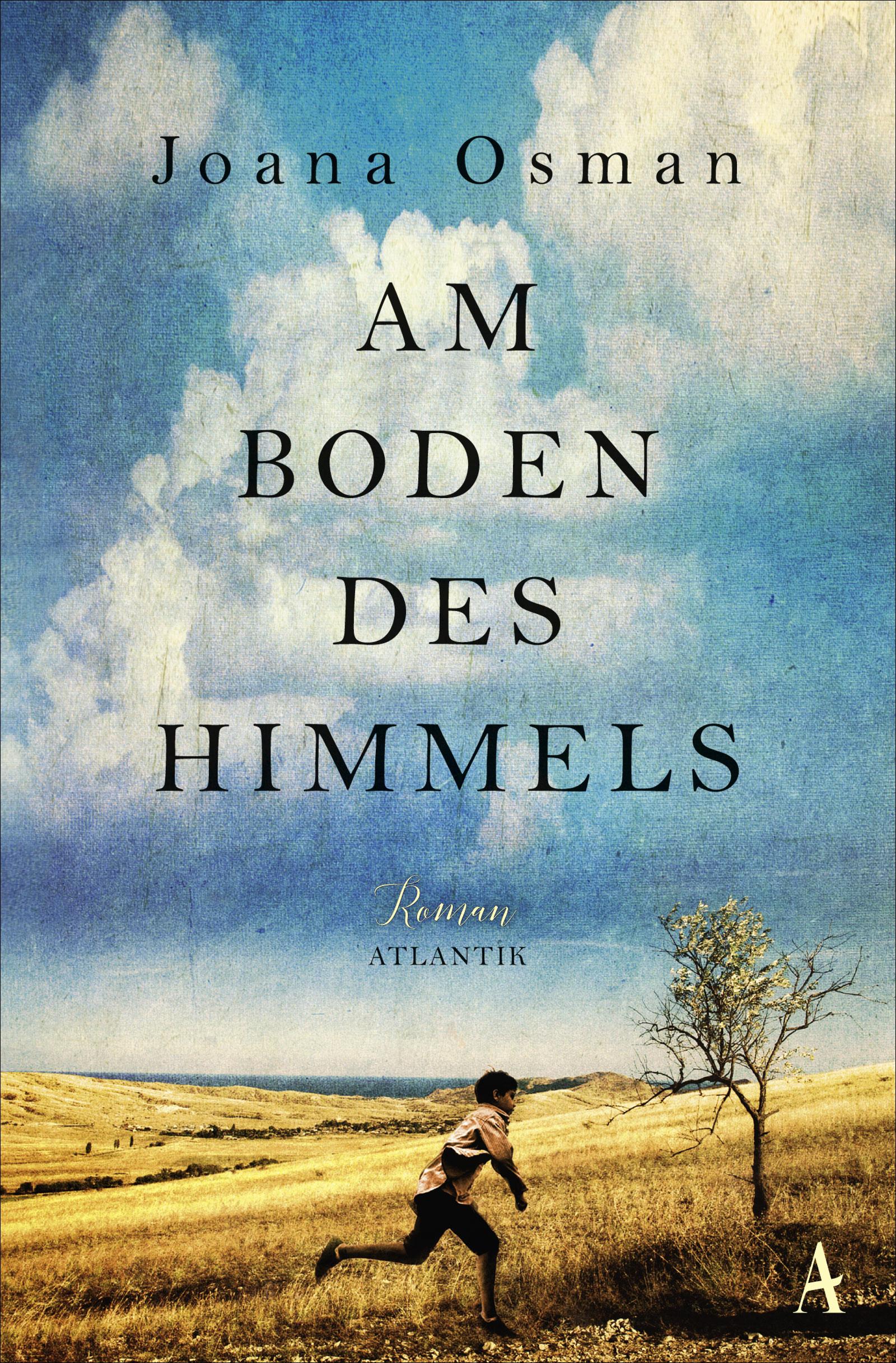 Vorderes Coverbild Am Boden des Himmels