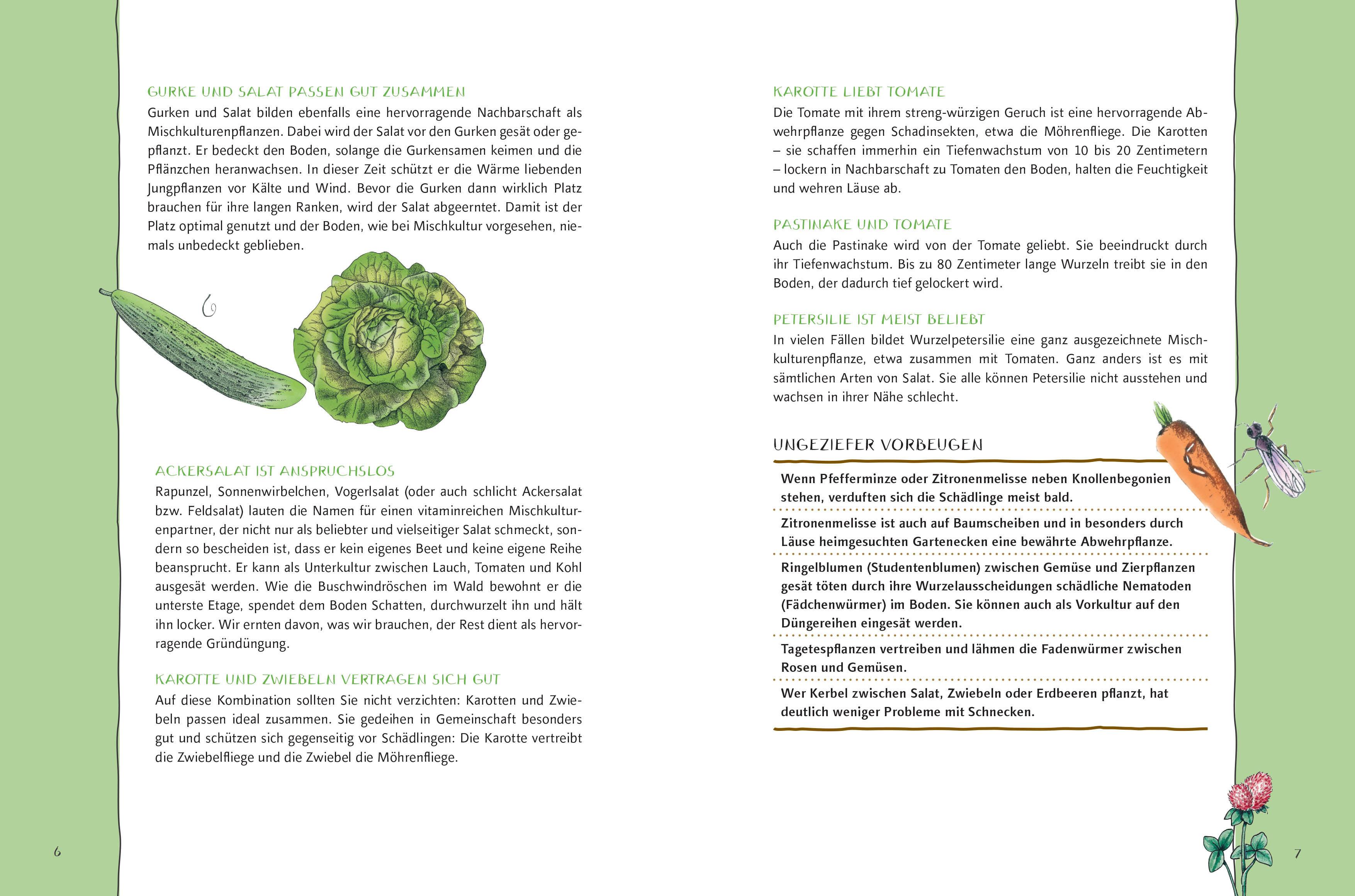 Beispielinhalt (Bild) Ökologisch gärtnern mit Mischkultur.