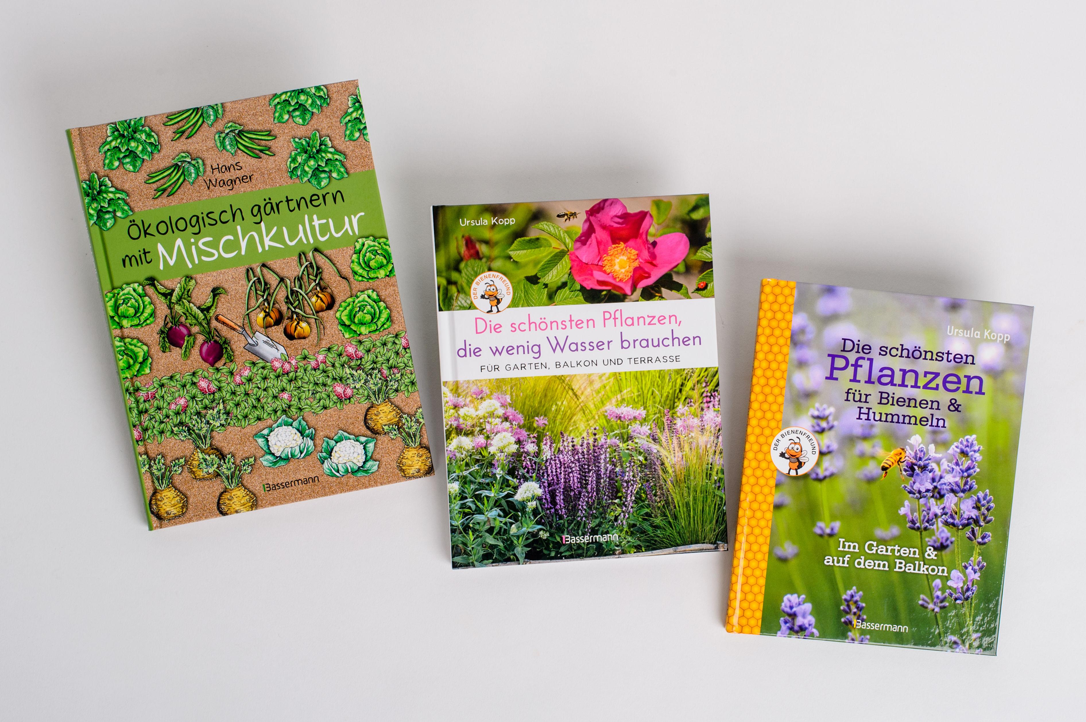 Beispielinhalt (Bild) Ökologisch gärtnern mit Mischkultur.