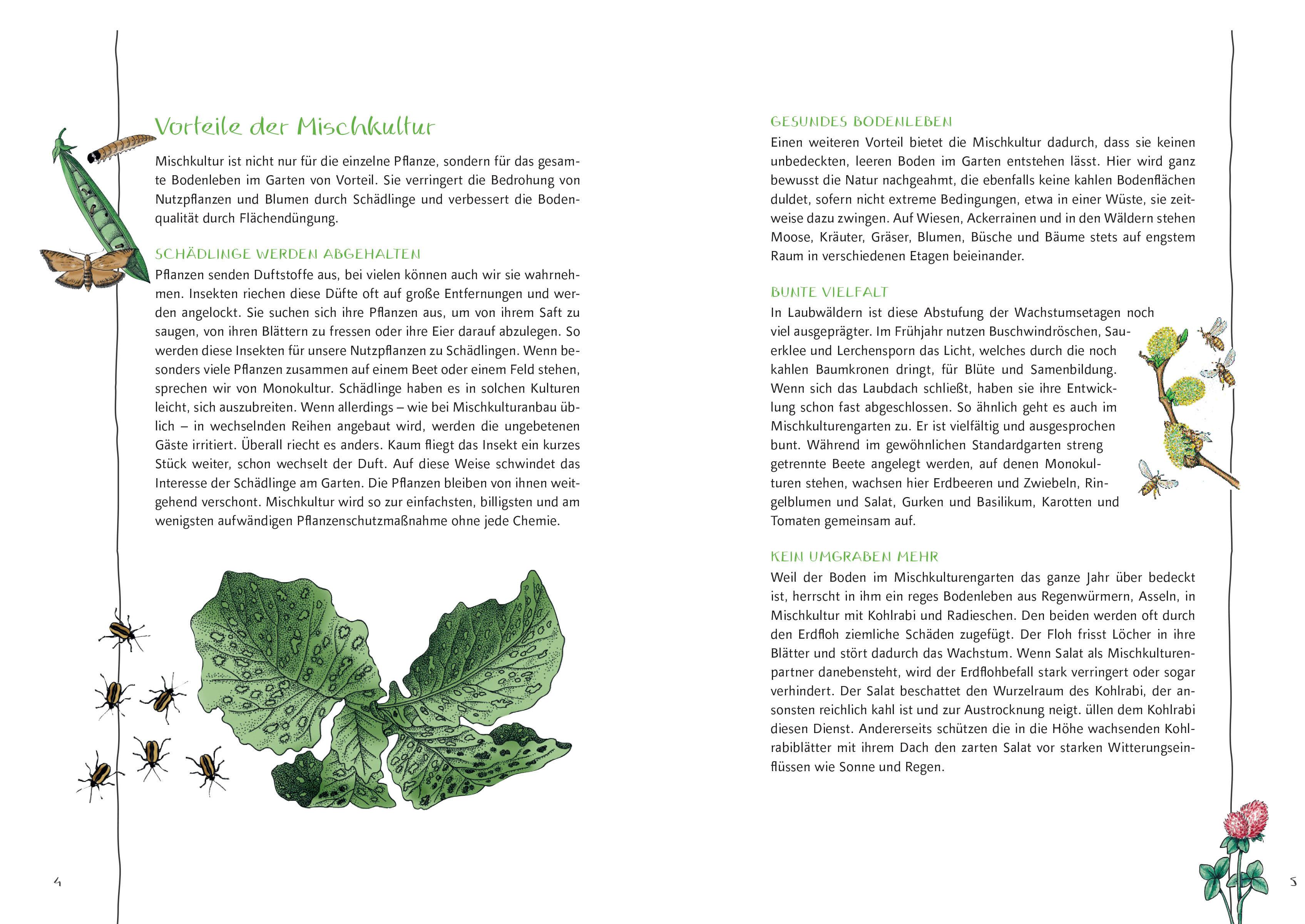 Beispielinhalt (Bild) Ökologisch gärtnern mit Mischkultur.