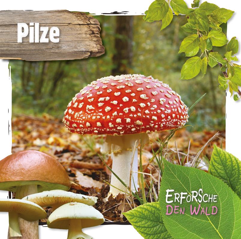 Vorderes Coverbild Pilze