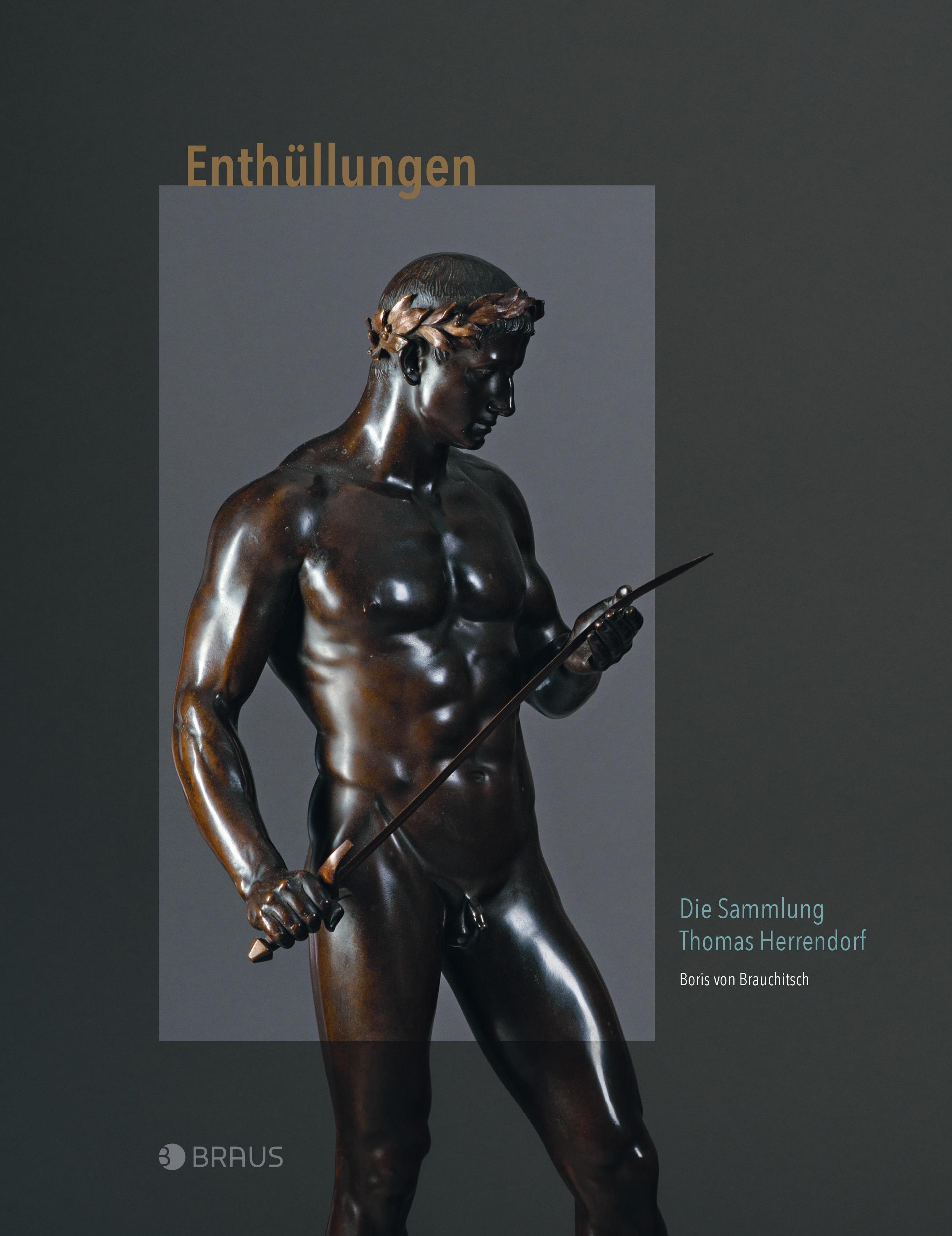 Vorderes Coverbild Enthüllungen