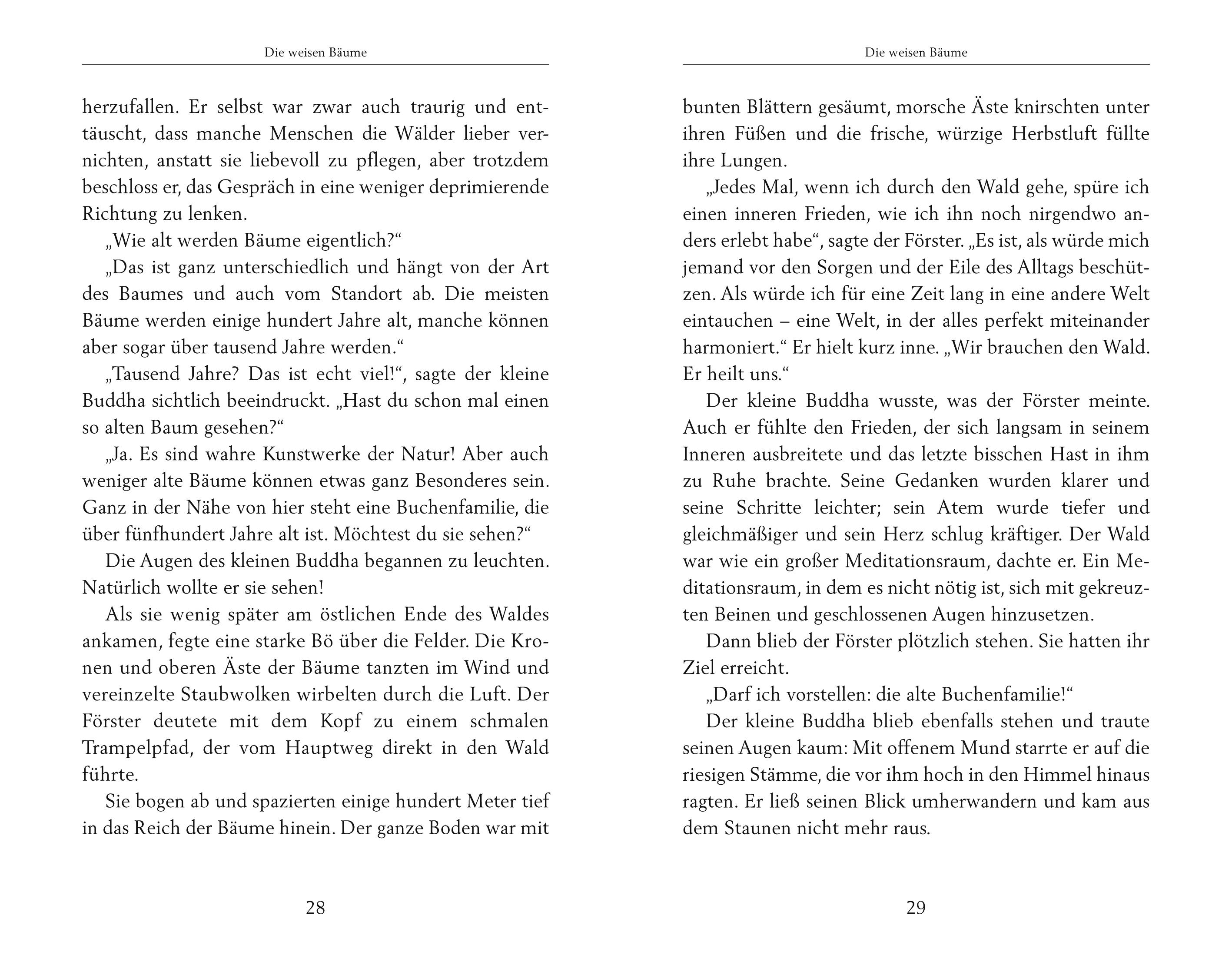 Beispielinhalt (Bild) Der kleine Buddha und das Wunder der Zeit