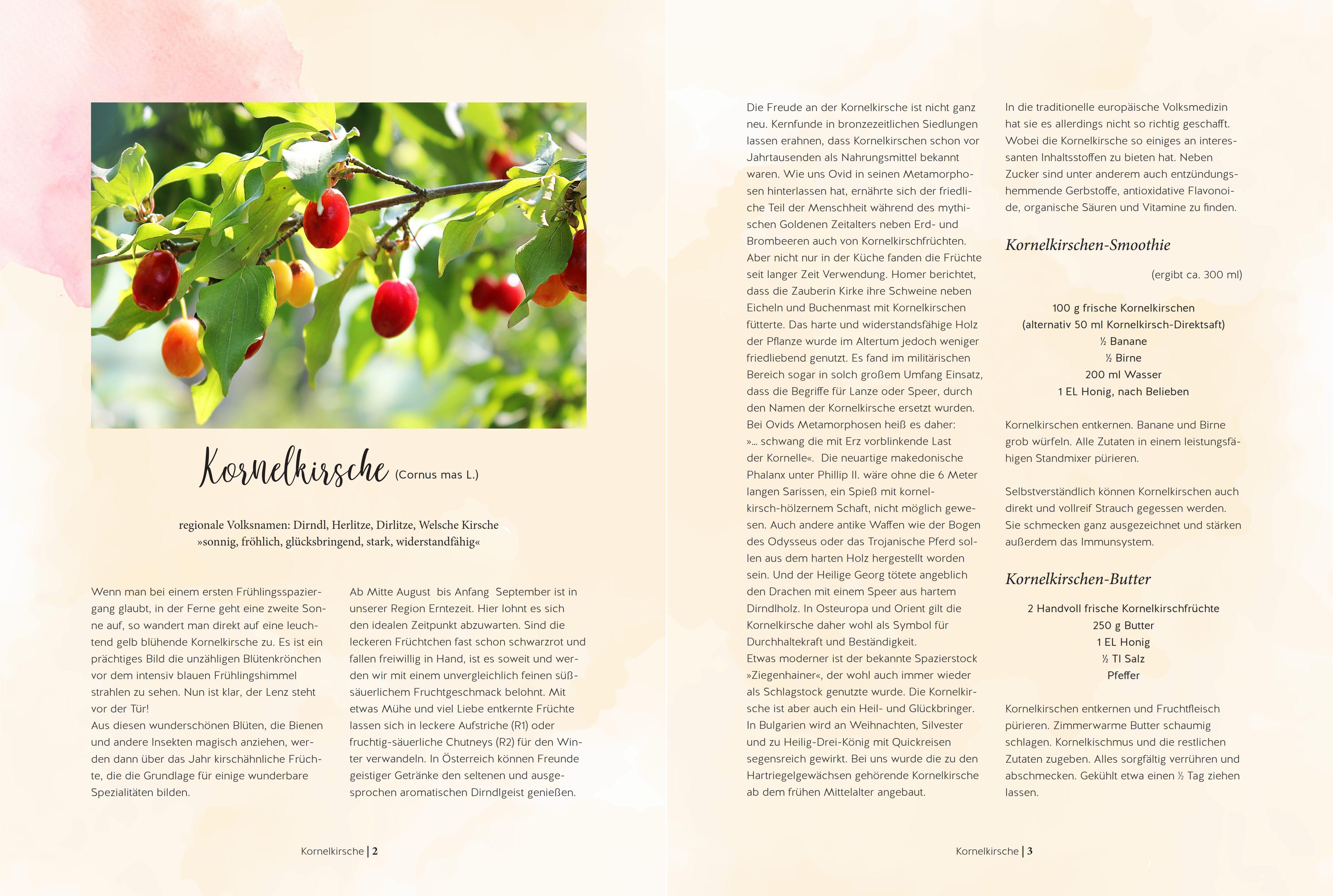 Beispielinhalt (Bild) Täglich seh ich neue Kräuter