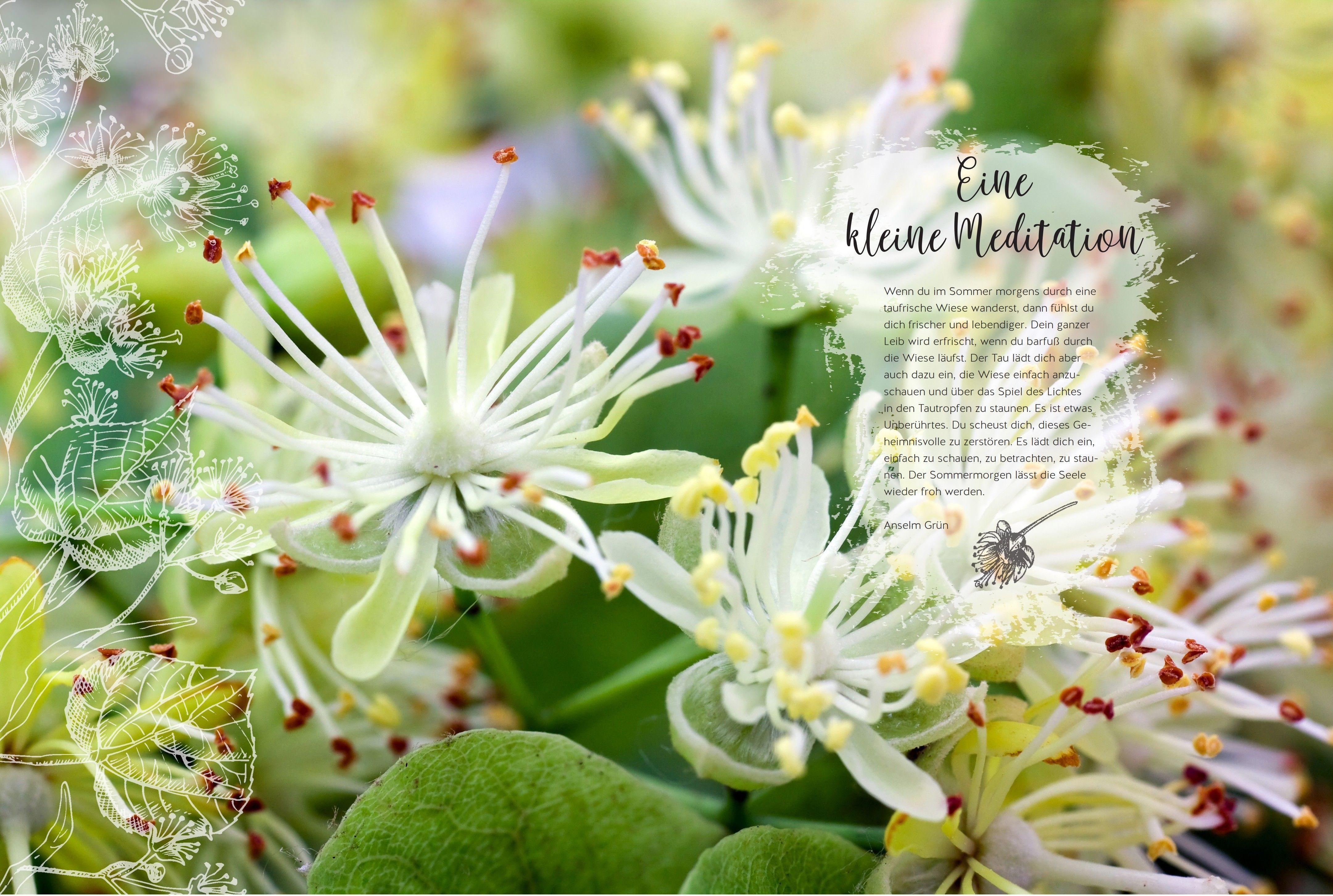 Beispielinhalt (Bild) Täglich seh ich neue Kräuter