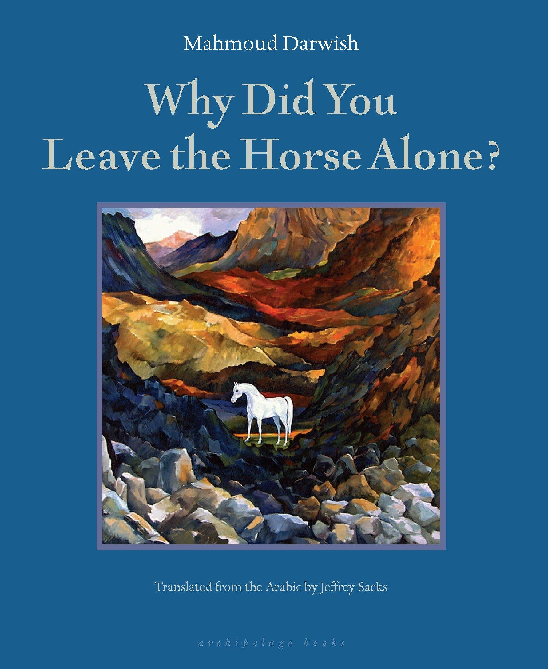 Vorderes Coverbild Why Did You Leave the Horse Alone?