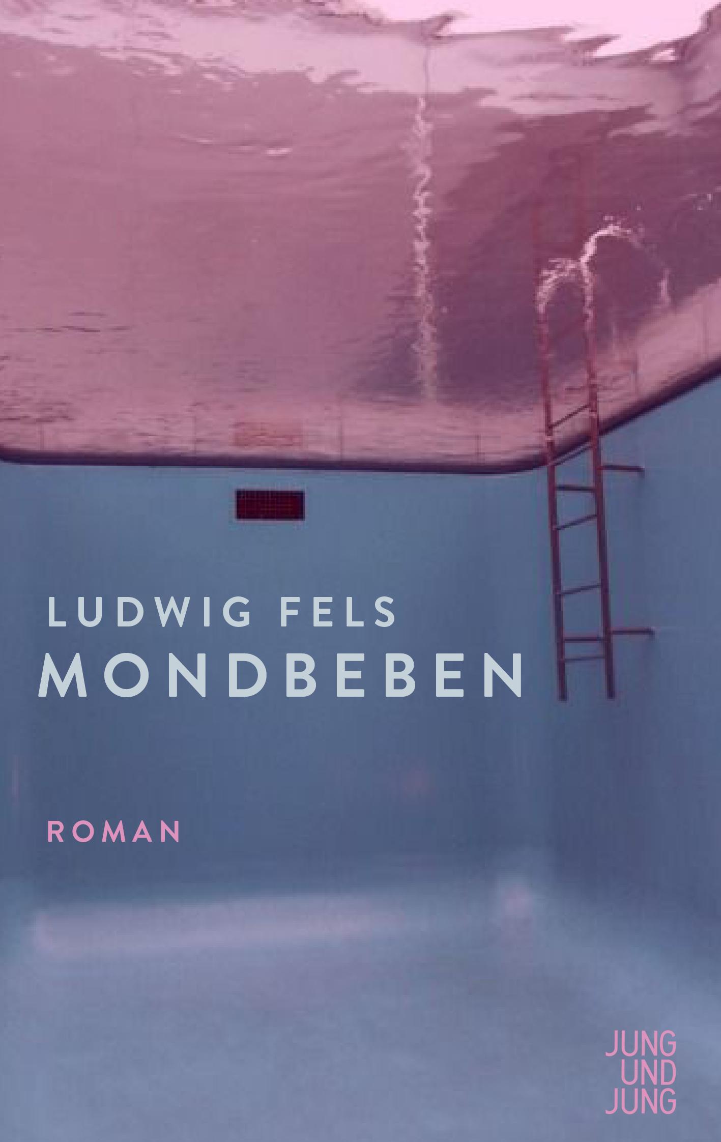 Vorderes Coverbild Mondbeben