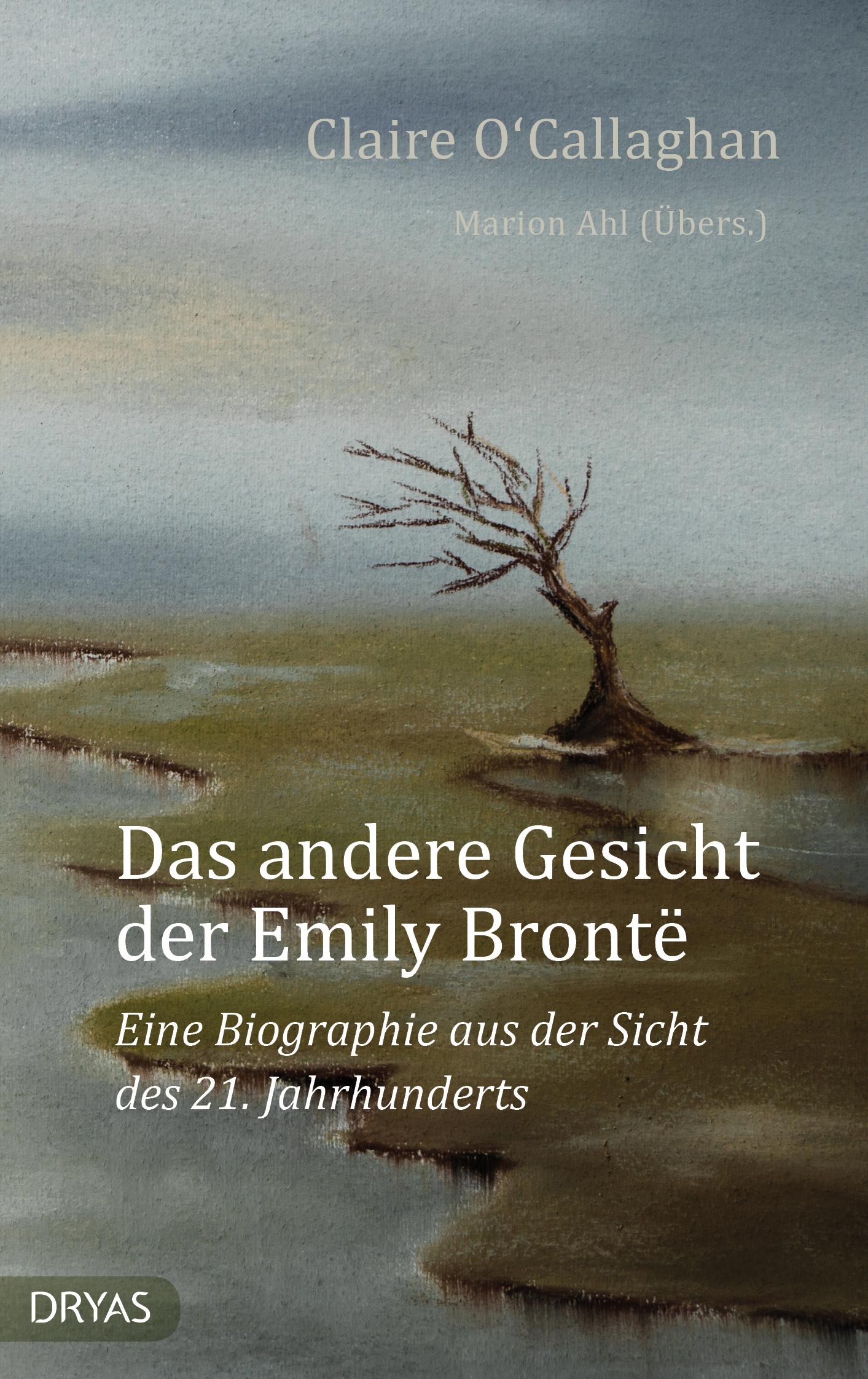 Vorderes Coverbild Das andere Gesicht der Emily Brontë