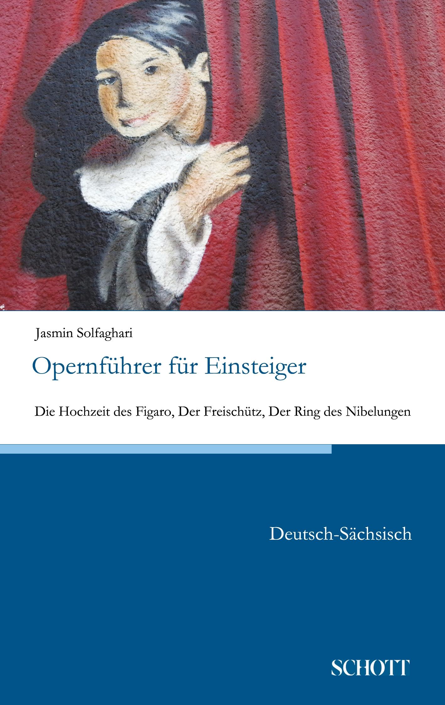 Vorderes Coverbild Opernführer für Einsteiger