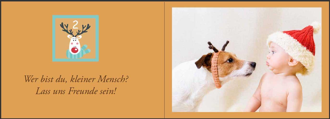 Beispielinhalt (Bild) Baby Adventskalender - Ein zauberhaft fotografierter Bilderbuch-Adventskalender für Schwangere, Mamas und Papas