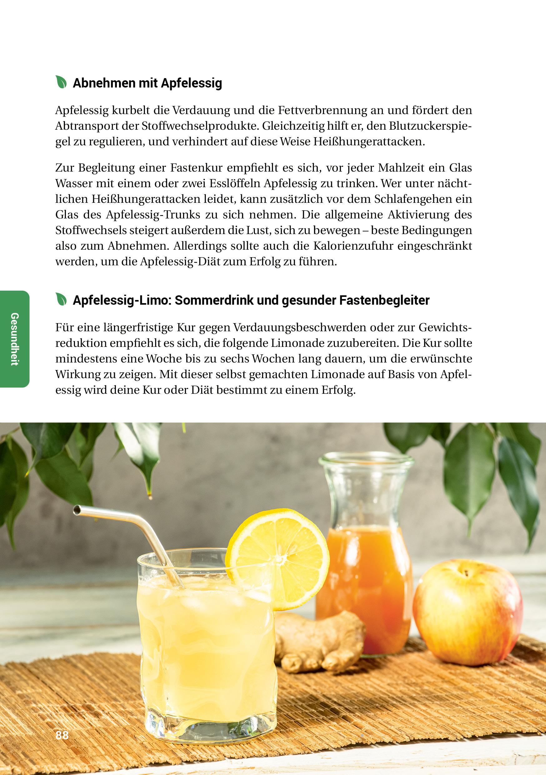 Beispielinhalt (Bild) Das Essig-Handbuch