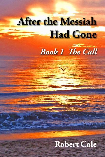 Vorderes Coverbild After the Messiah Had Gone