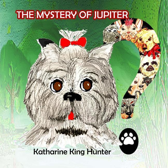 Vorderes Coverbild The Mystery of Jupiter