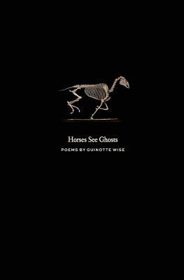 Vorderes Coverbild Horses See Ghosts