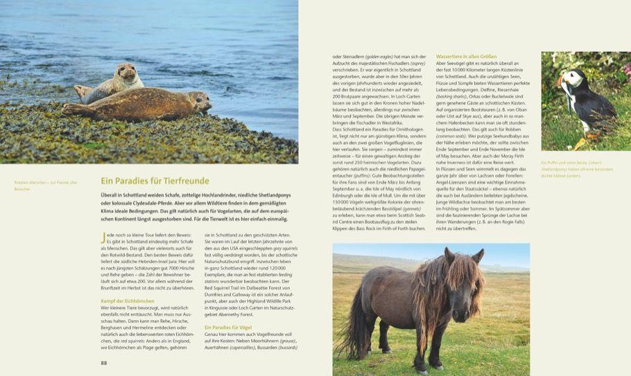 Beispielinhalt (Bild) Highlights Schottland