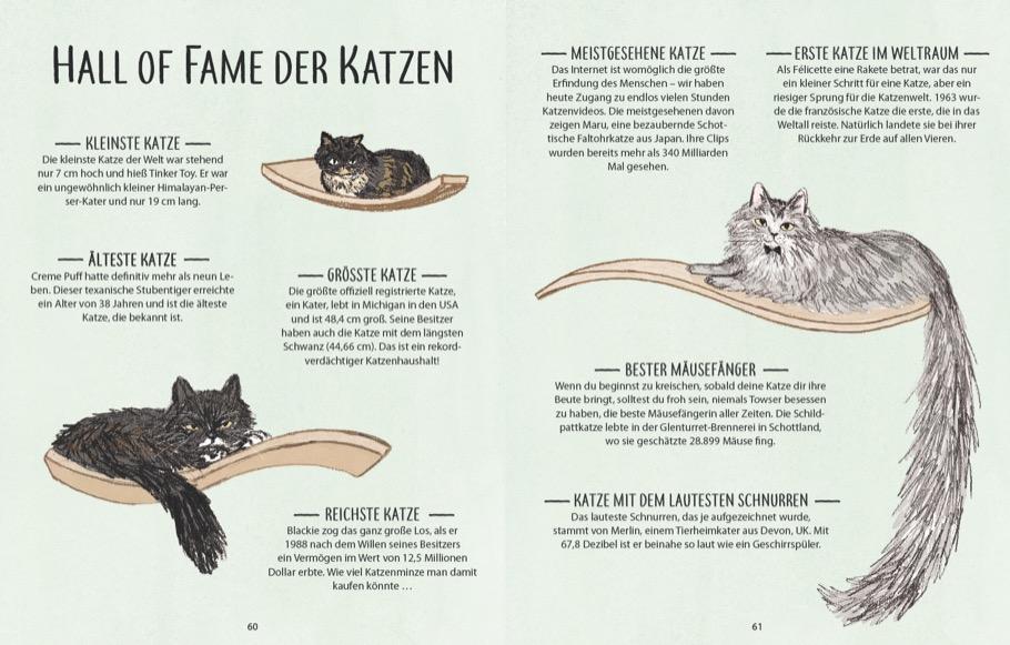 Beispielinhalt (Bild) Hinter jeder großartigen Frau steht eine besondere Katze