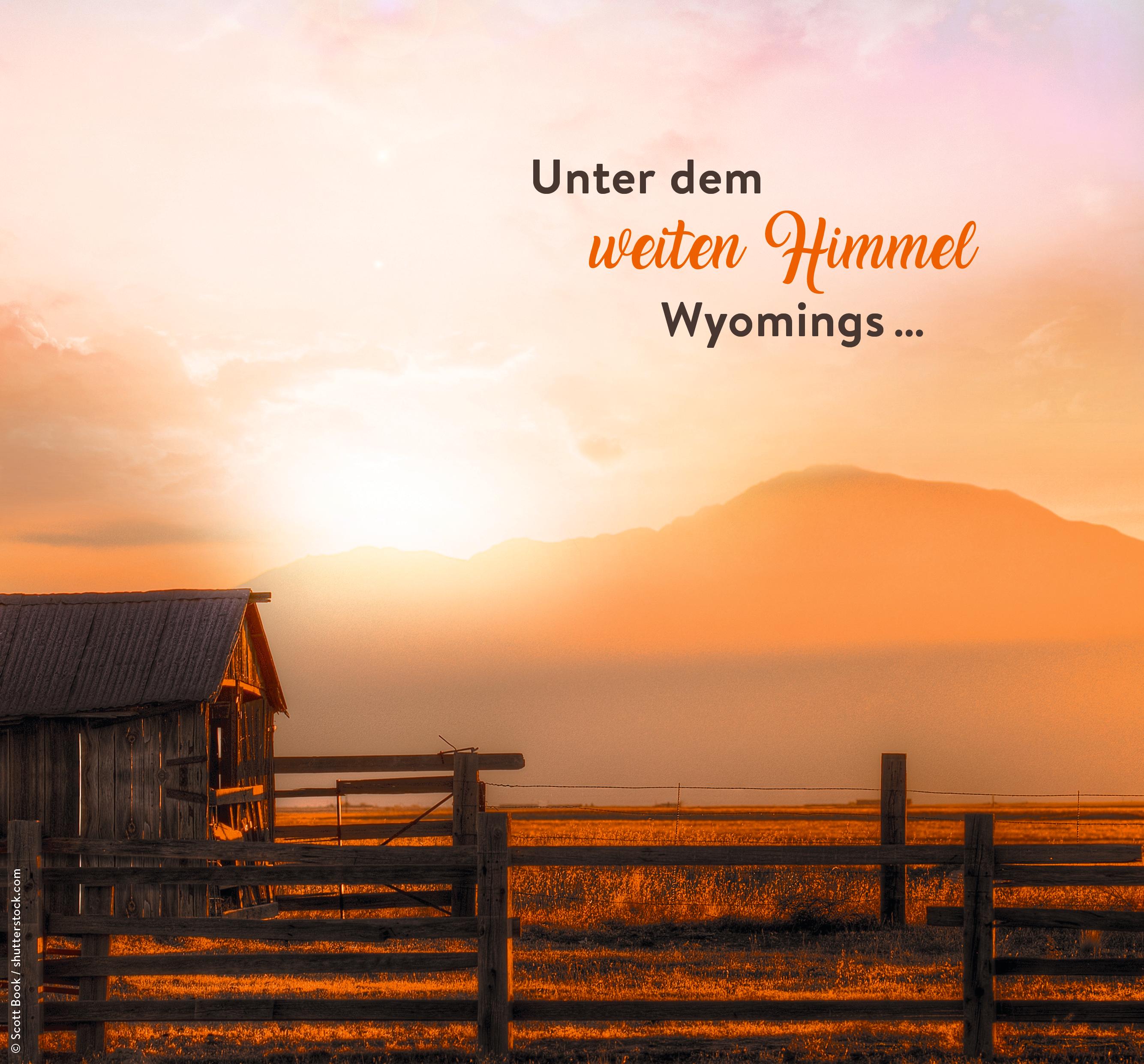 Beispielinhalt (Bild) Wildflower Summer - In diesem Moment