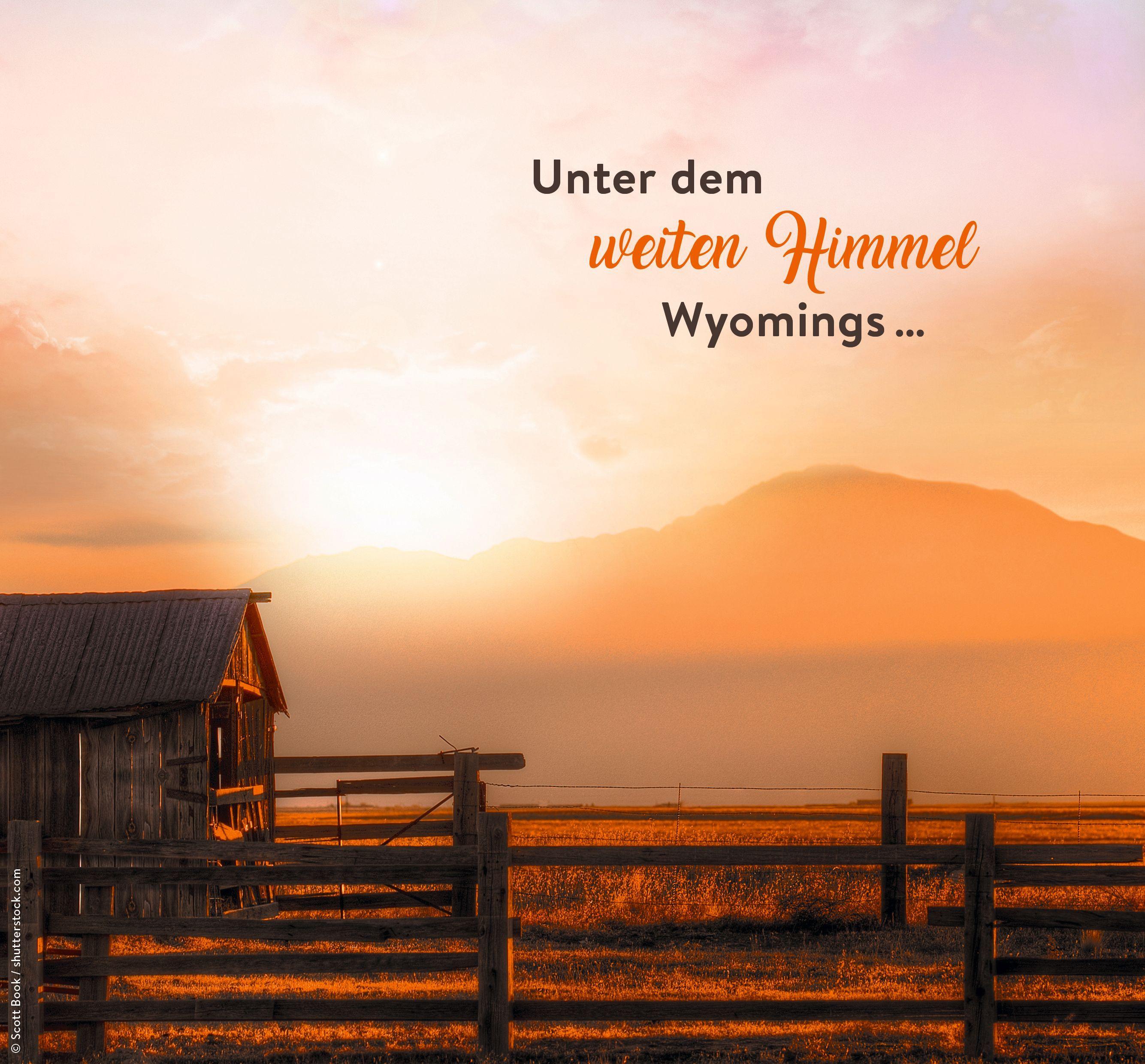 Beispielinhalt (Bild) Wildflower Summer - In diesem Moment