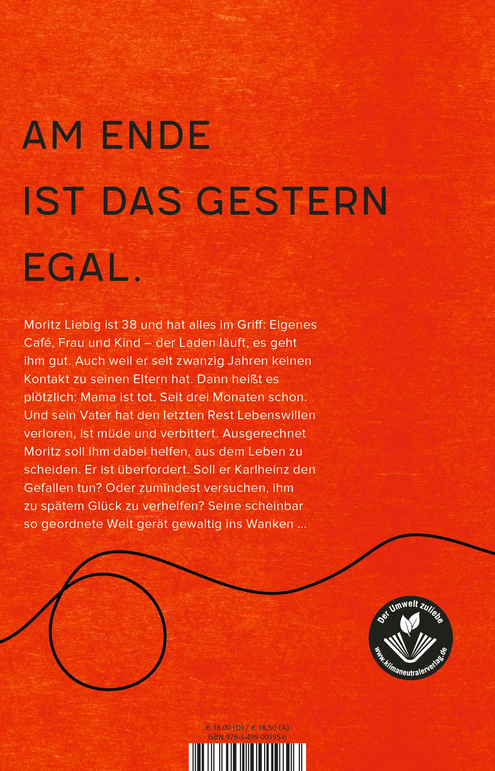 Rückseitencover Bin noch da